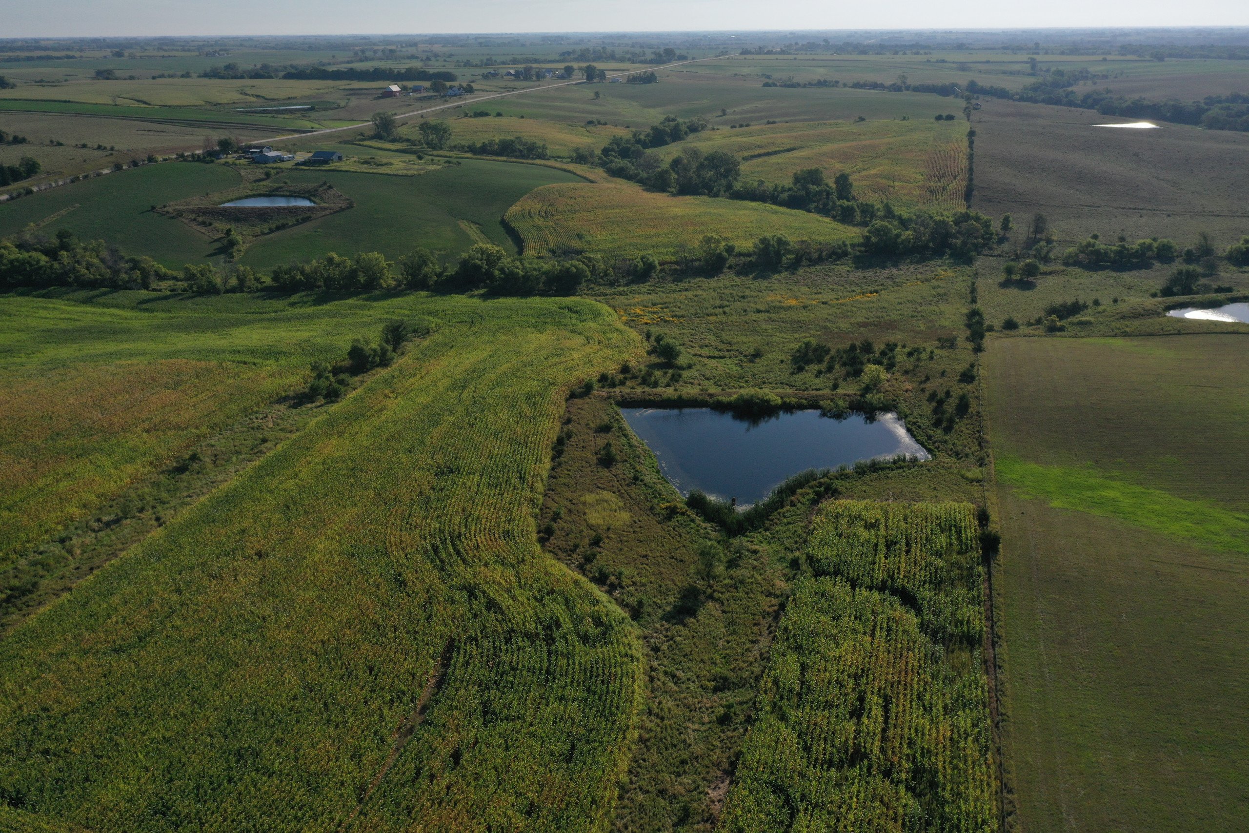 land-decatur-county-iowa-81-acres-listing-number-16419-DJI_0871-1.jpg