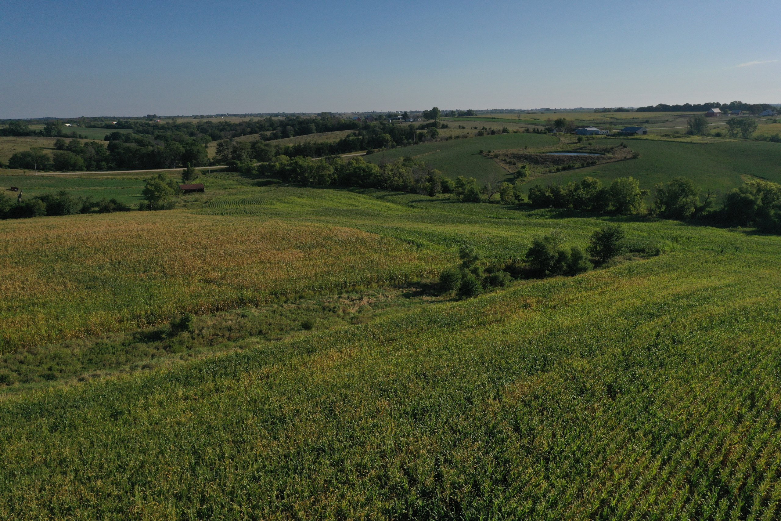 land-decatur-county-iowa-81-acres-listing-number-16419-DJI_0873-0.jpg