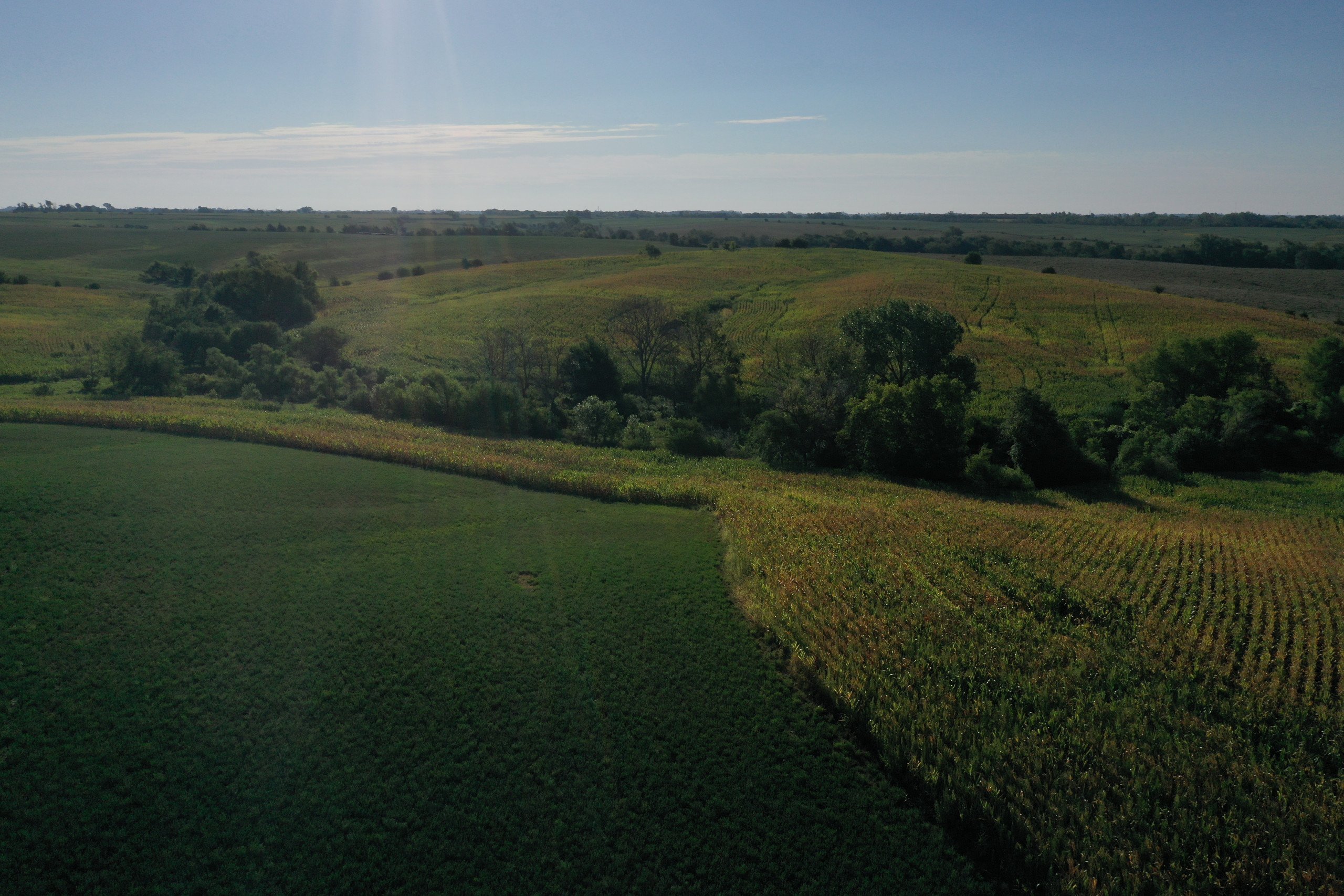 land-decatur-county-iowa-81-acres-listing-number-16419-DJI_0880-4.jpg