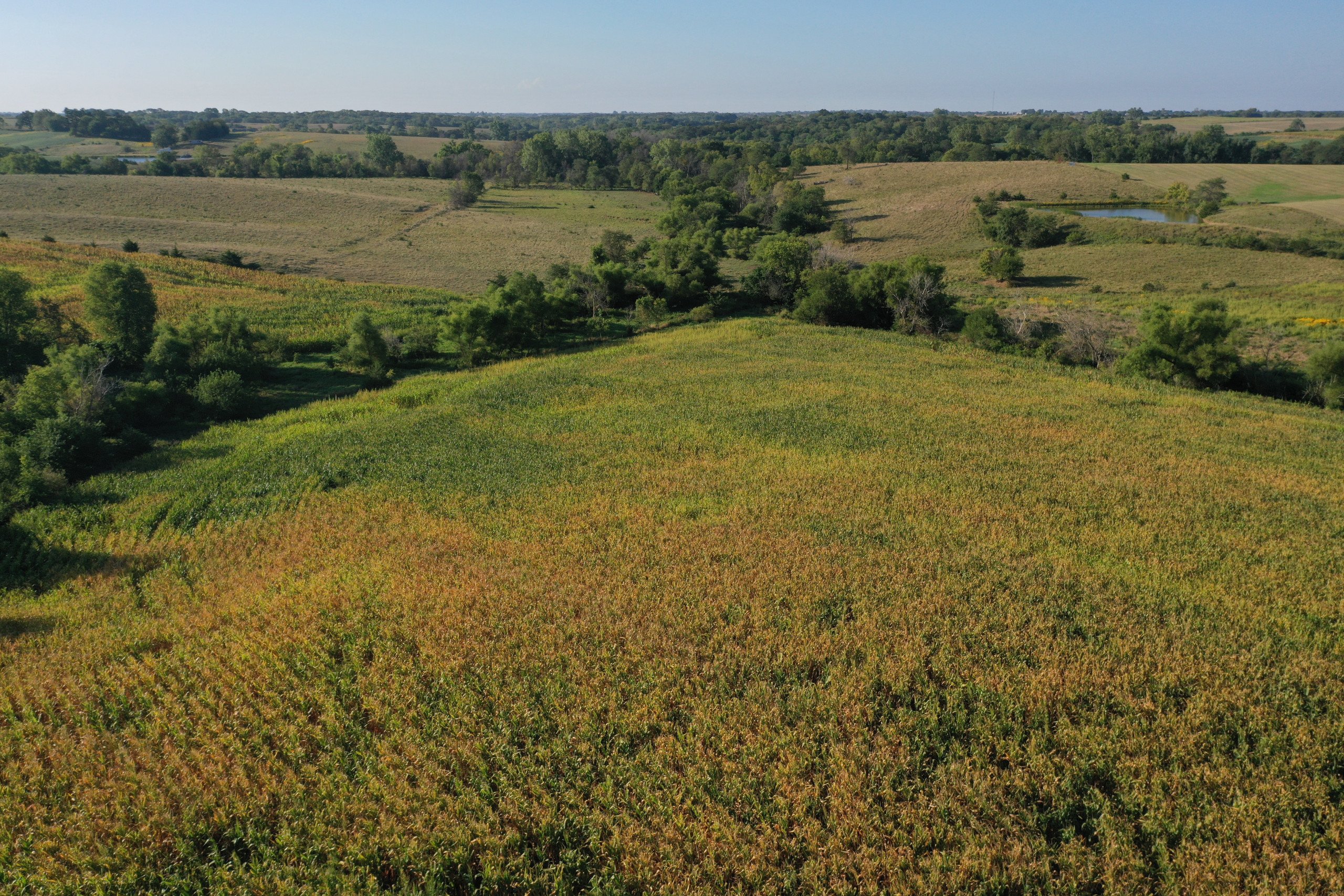 land-decatur-county-iowa-81-acres-listing-number-16419-DJI_0882-0.jpg