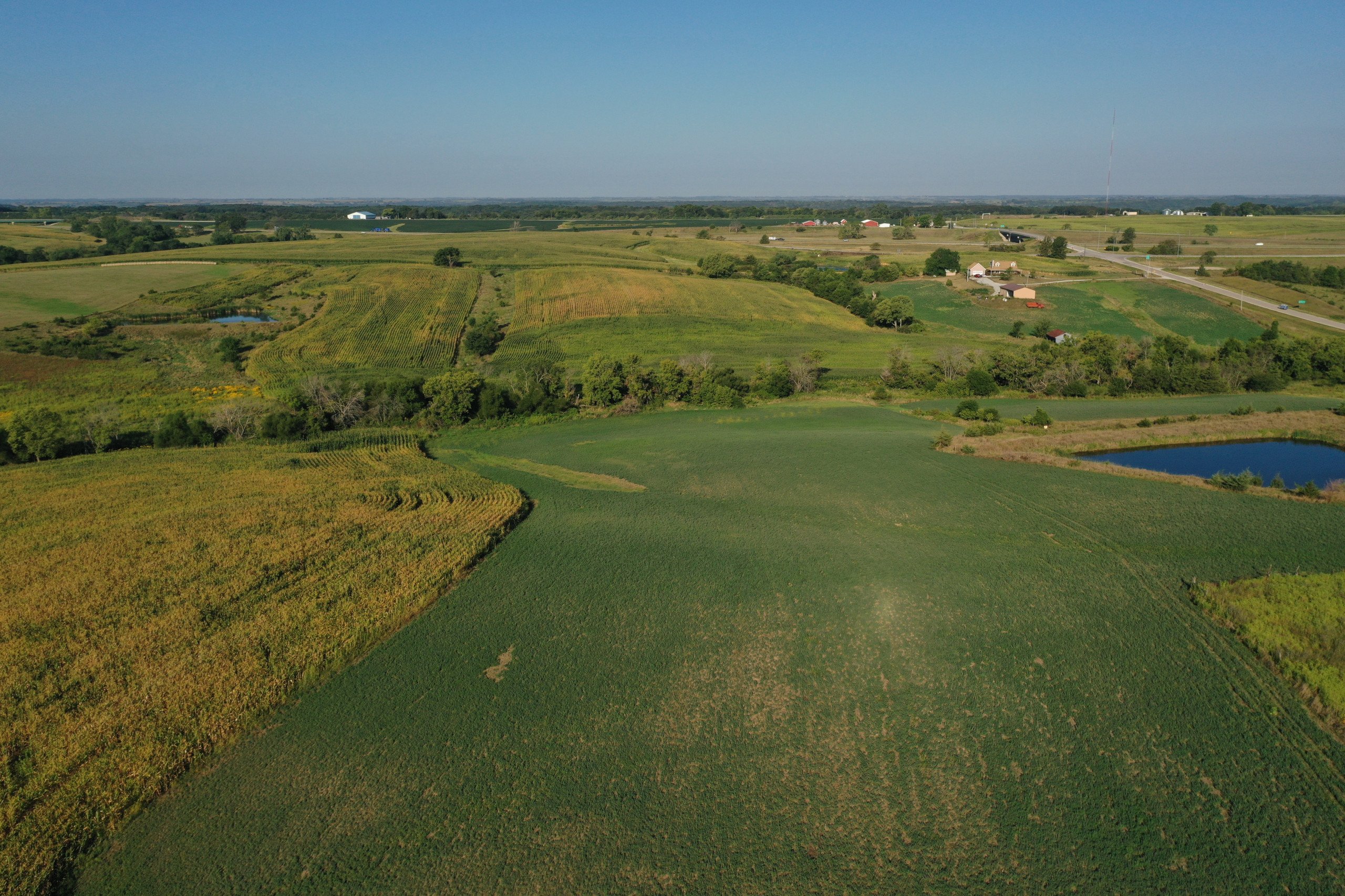 land-decatur-county-iowa-81-acres-listing-number-16419-DJI_0884-1.jpg