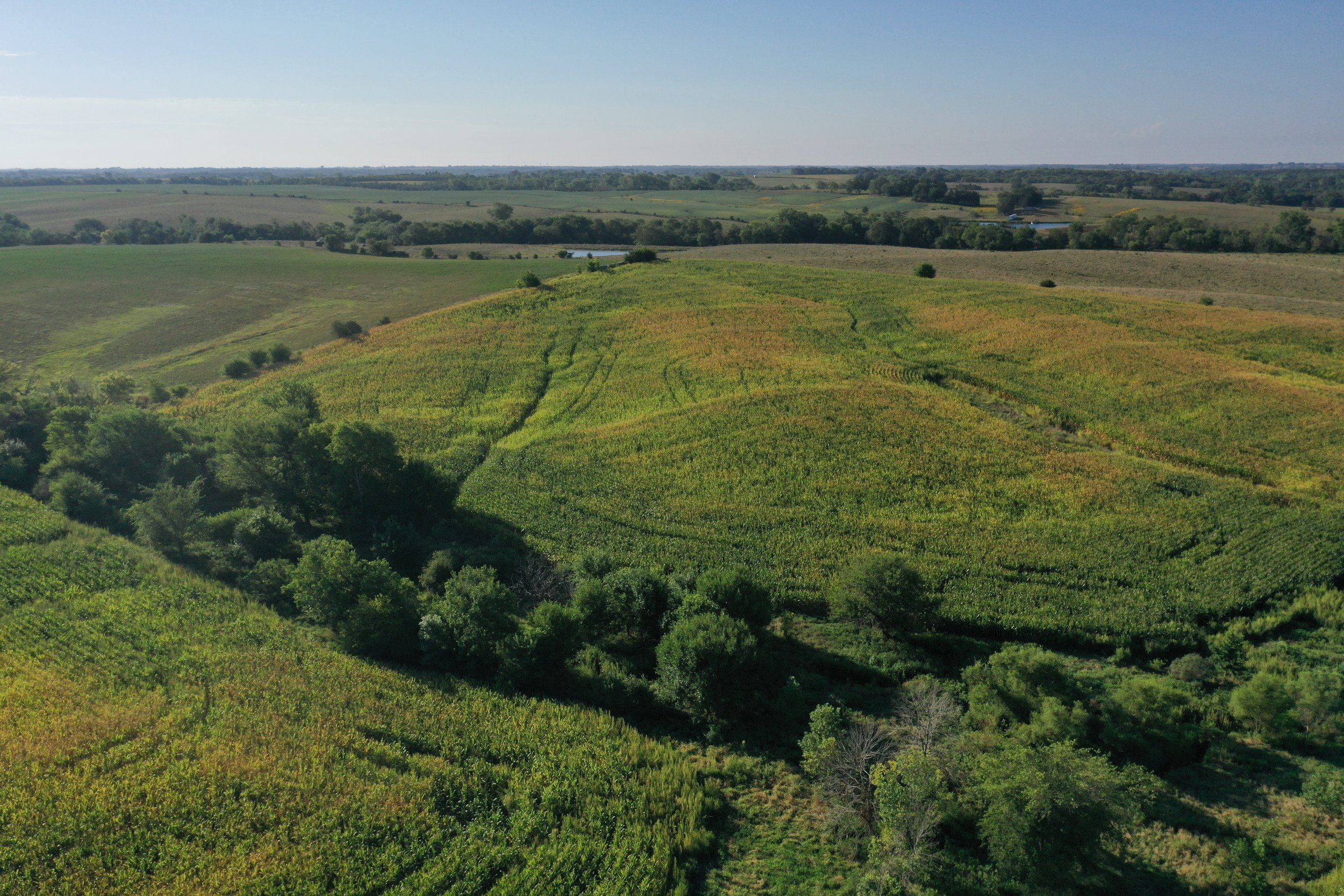 land-decatur-county-iowa-81-acres-listing-number-16419-DJI_0888-3.jpg