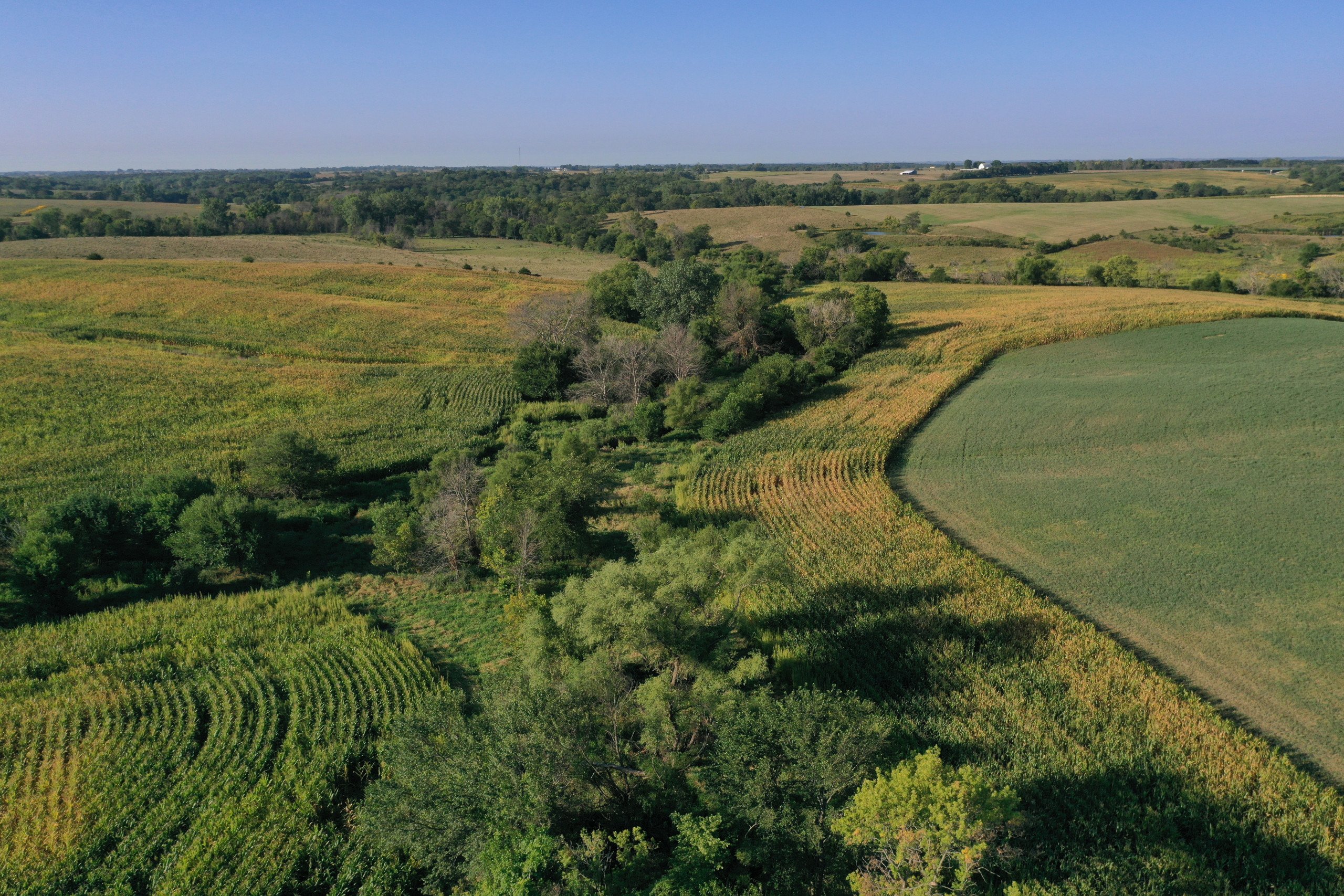 land-decatur-county-iowa-81-acres-listing-number-16419-DJI_0889-4.jpg