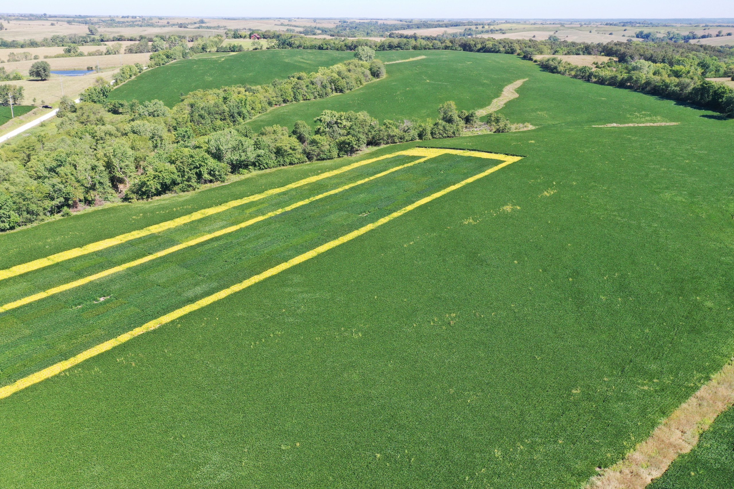 land-decatur-county-iowa-80-acres-listing-number-16420-DJI_0418 (1)-1.jpg