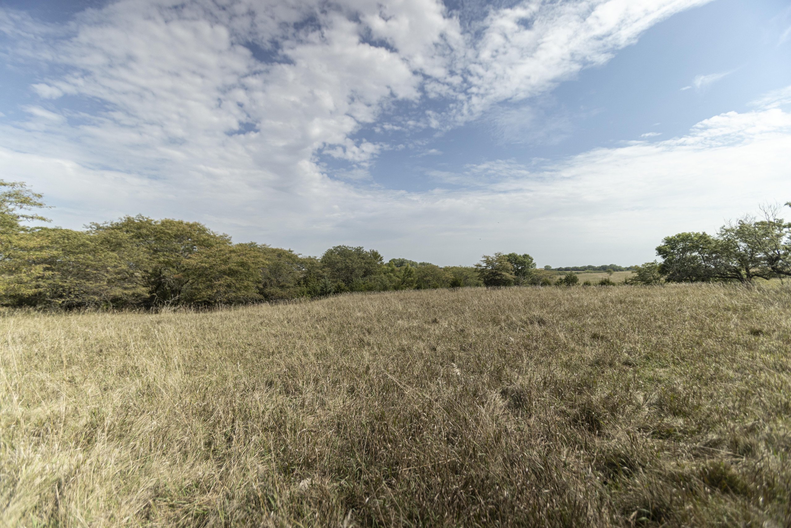 land-seward-county-nebraska-58-acres-listing-number-16431-IK5A4445-10.jpg