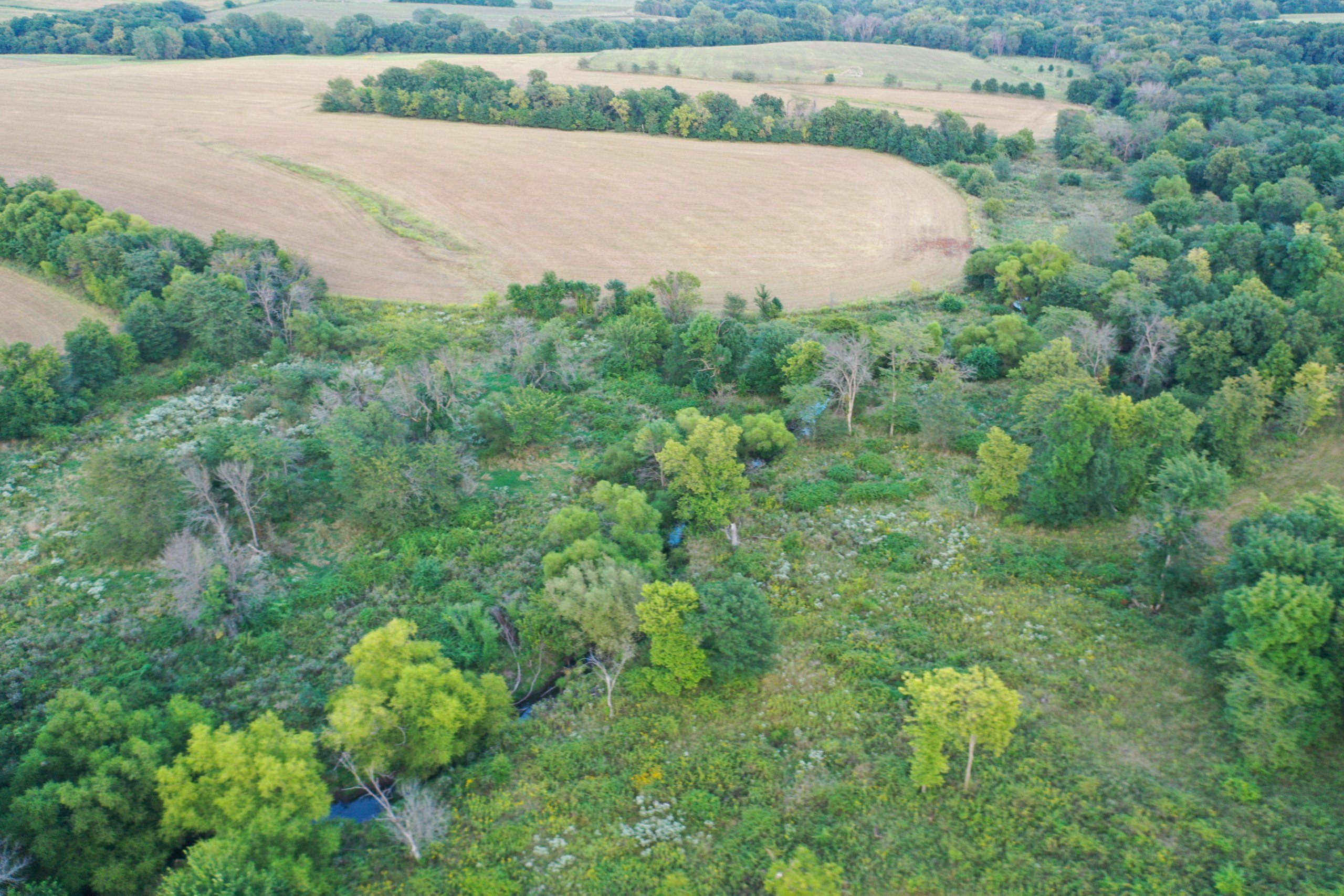 7-110th-ave-seymour-52590-Peoples_Company_Appanoose_County_Iowa_Land_Auction_16435-80-0.jpg