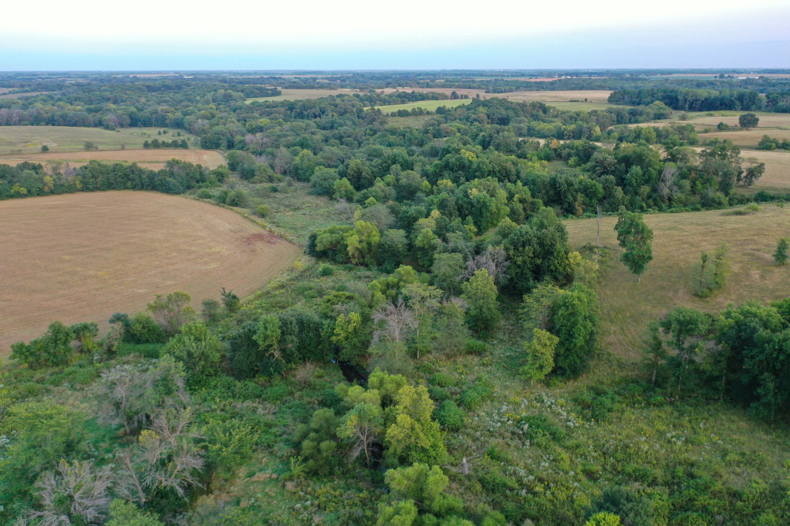 7-110th-ave-seymour-52590-Peoples_Company_Appanoose_County_Iowa_Land_Auction_16435-81-0.jpg