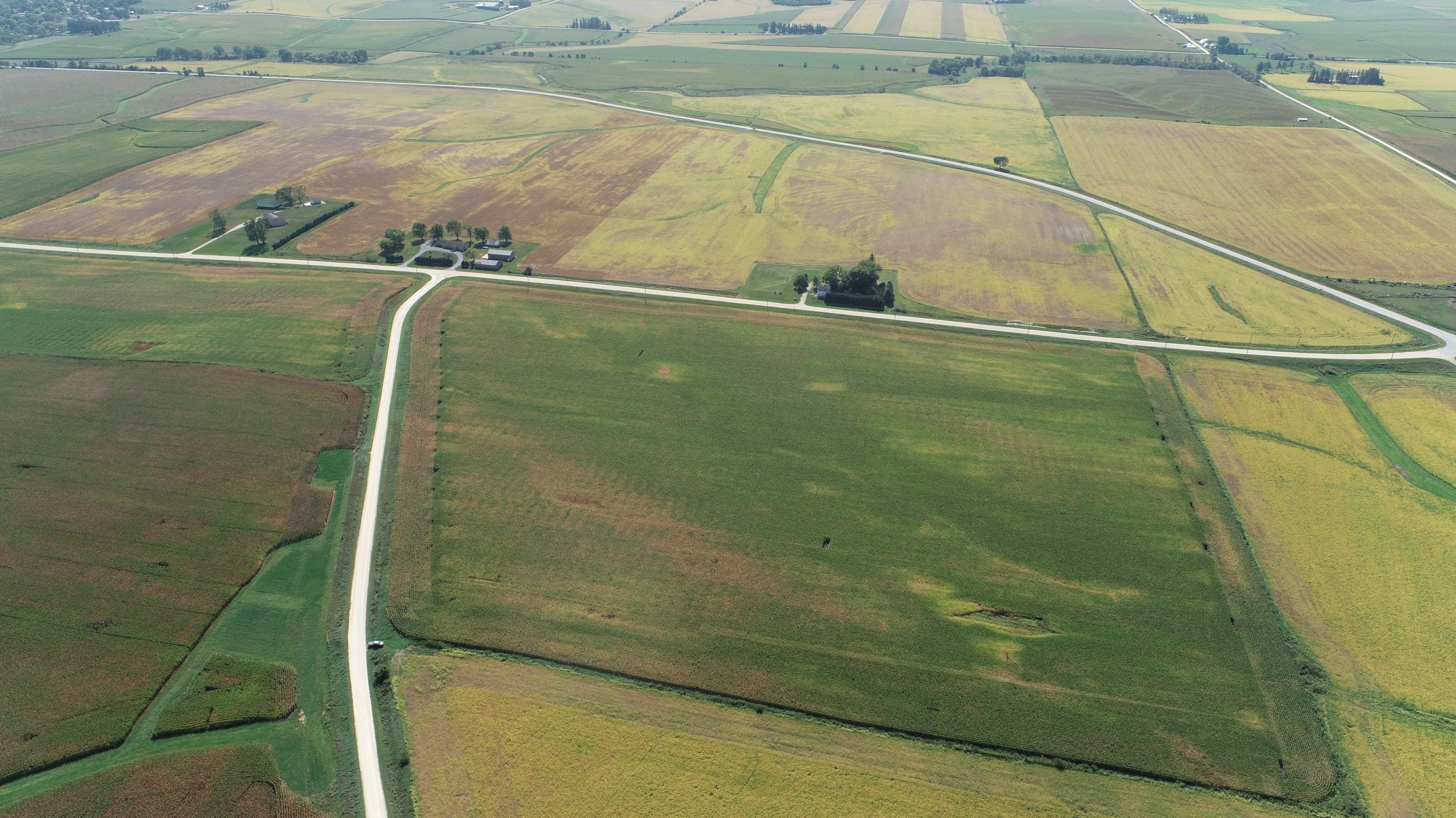 auctions-land-fayette-county-iowa-218-acres-listing-number-16442-DJI_0440-2.jpg