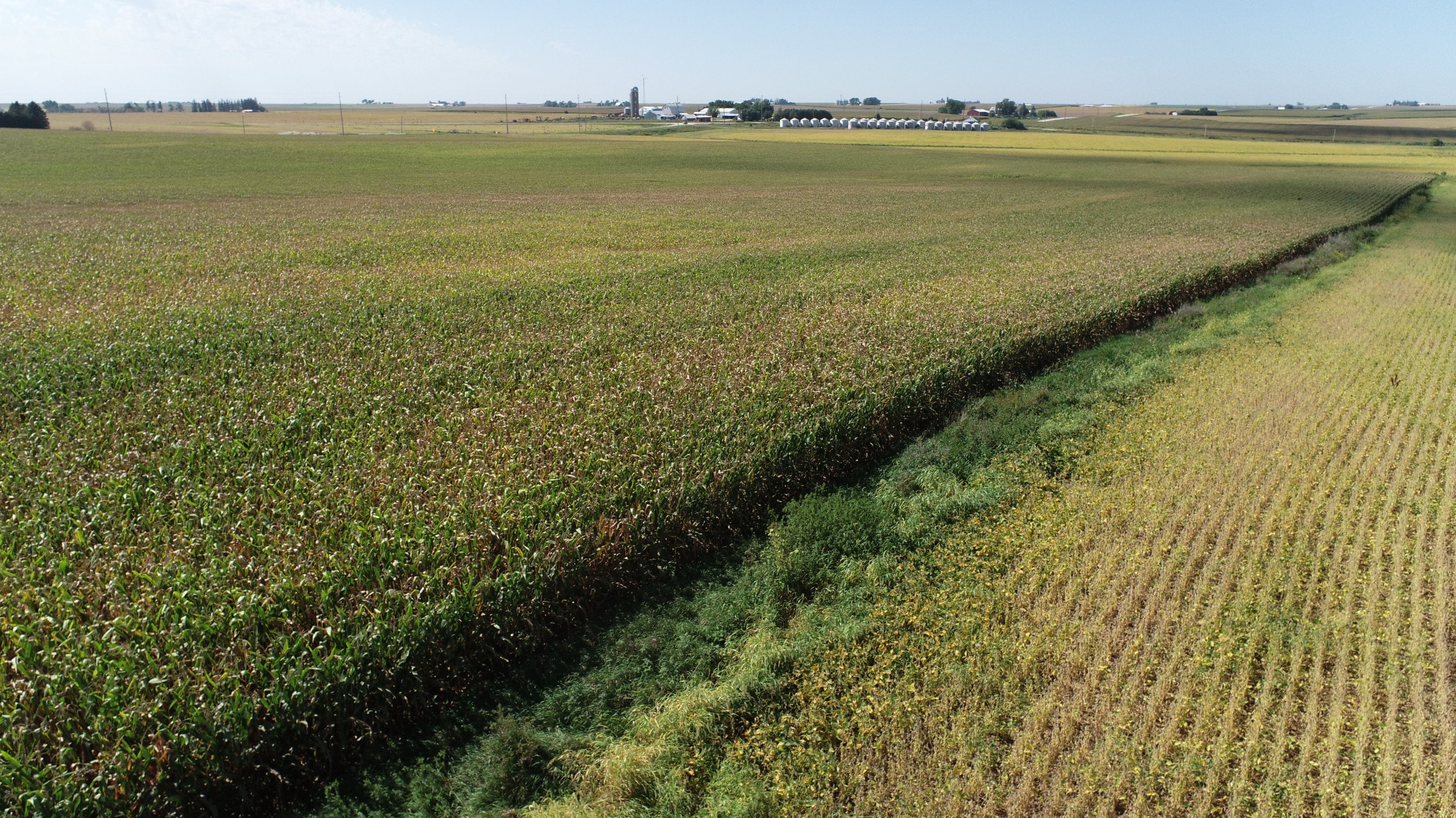auctions-land-fayette-county-iowa-218-acres-listing-number-16442-DJI_0453-4.jpg