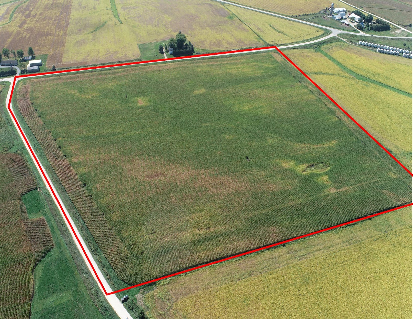 auctions-land-fayette-county-iowa-218-acres-listing-number-16442-Muralt Family Farms LLC Tract 1 Drone Outlined JPEG-0.jpg
