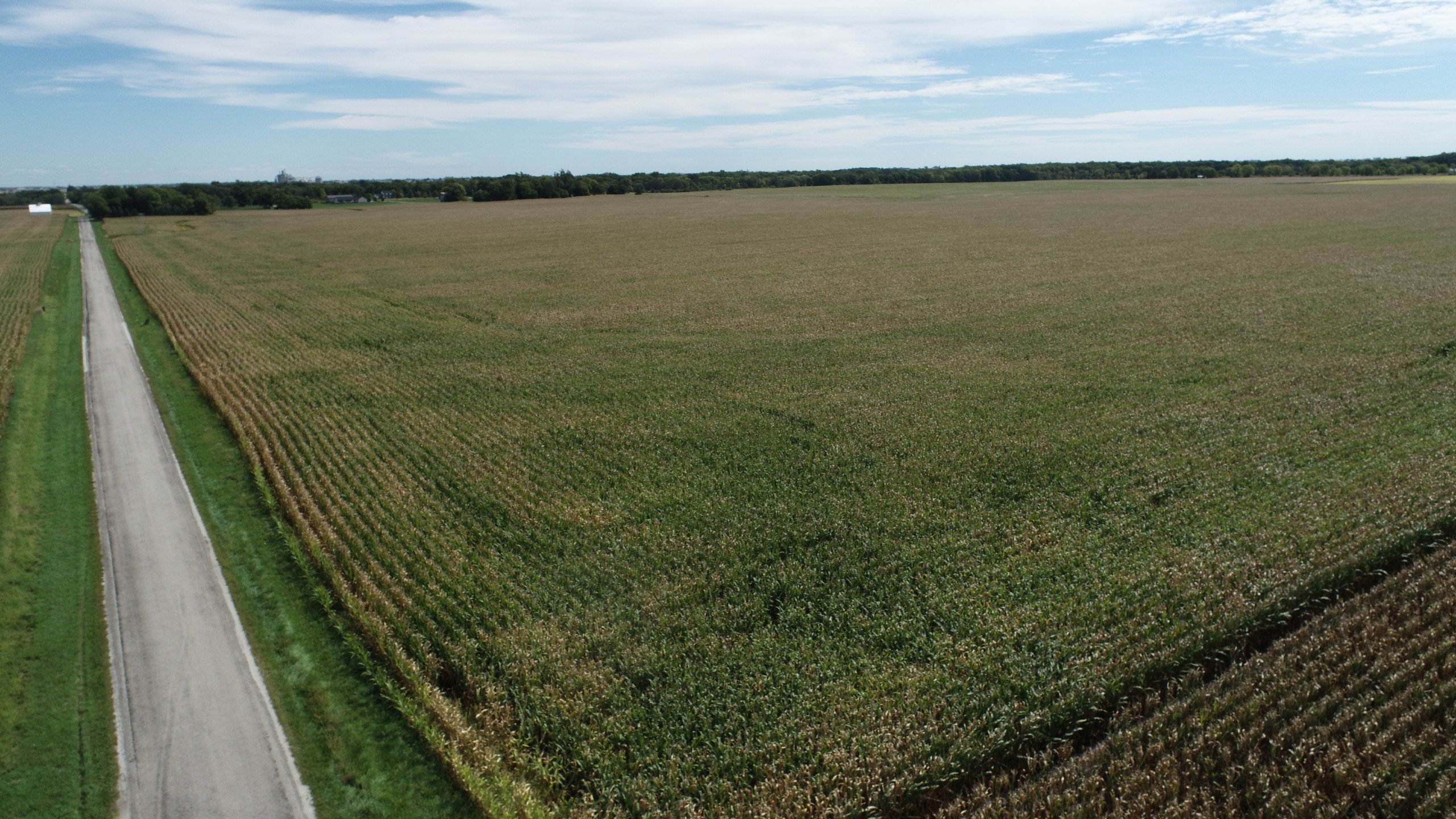 auctions-land-champaign-county-illinois-100-acres-listing-number-16443-DJI_0454-0.jpg