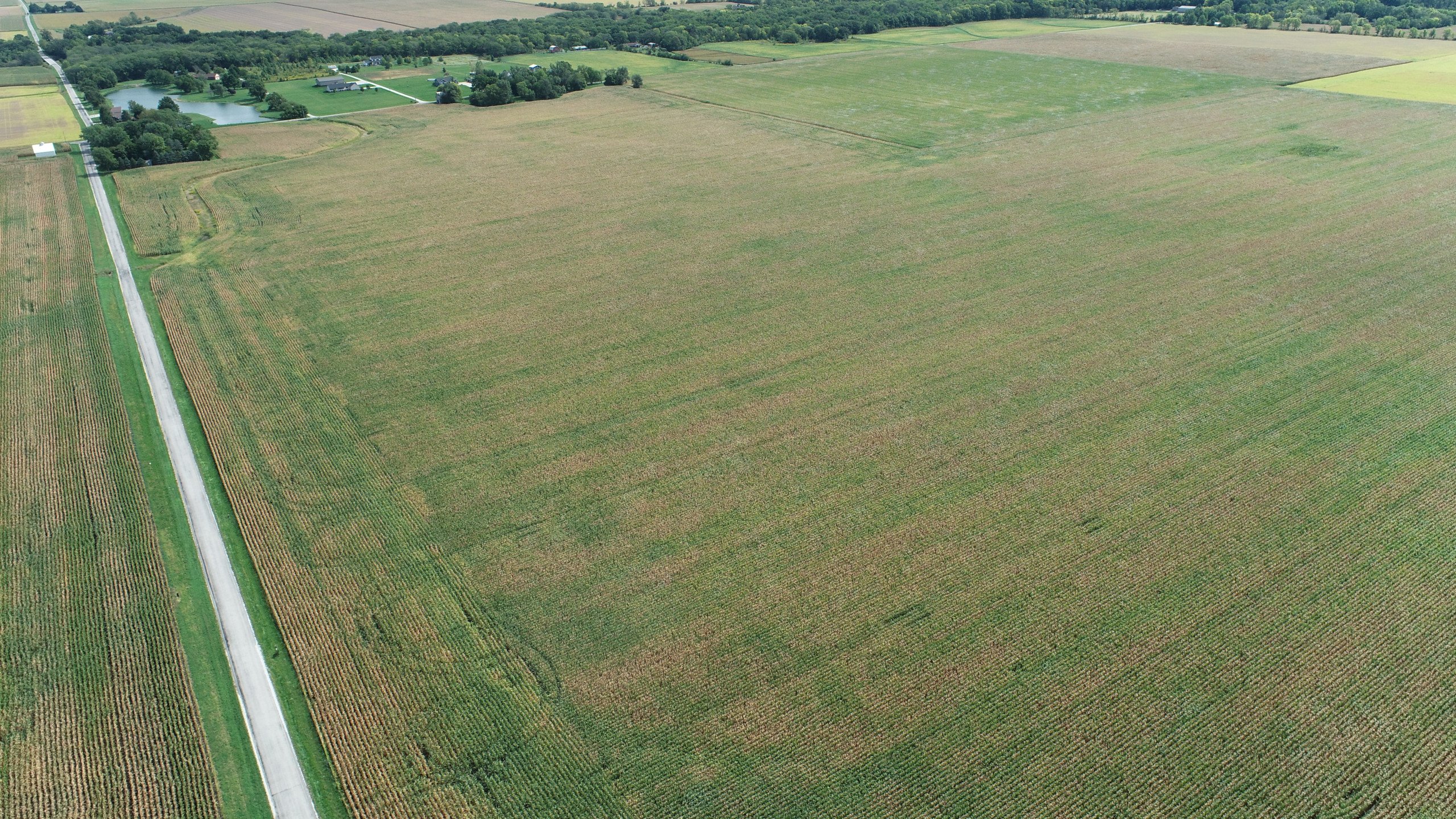 auctions-land-champaign-county-illinois-100-acres-listing-number-16443-DJI_0456-1.jpg