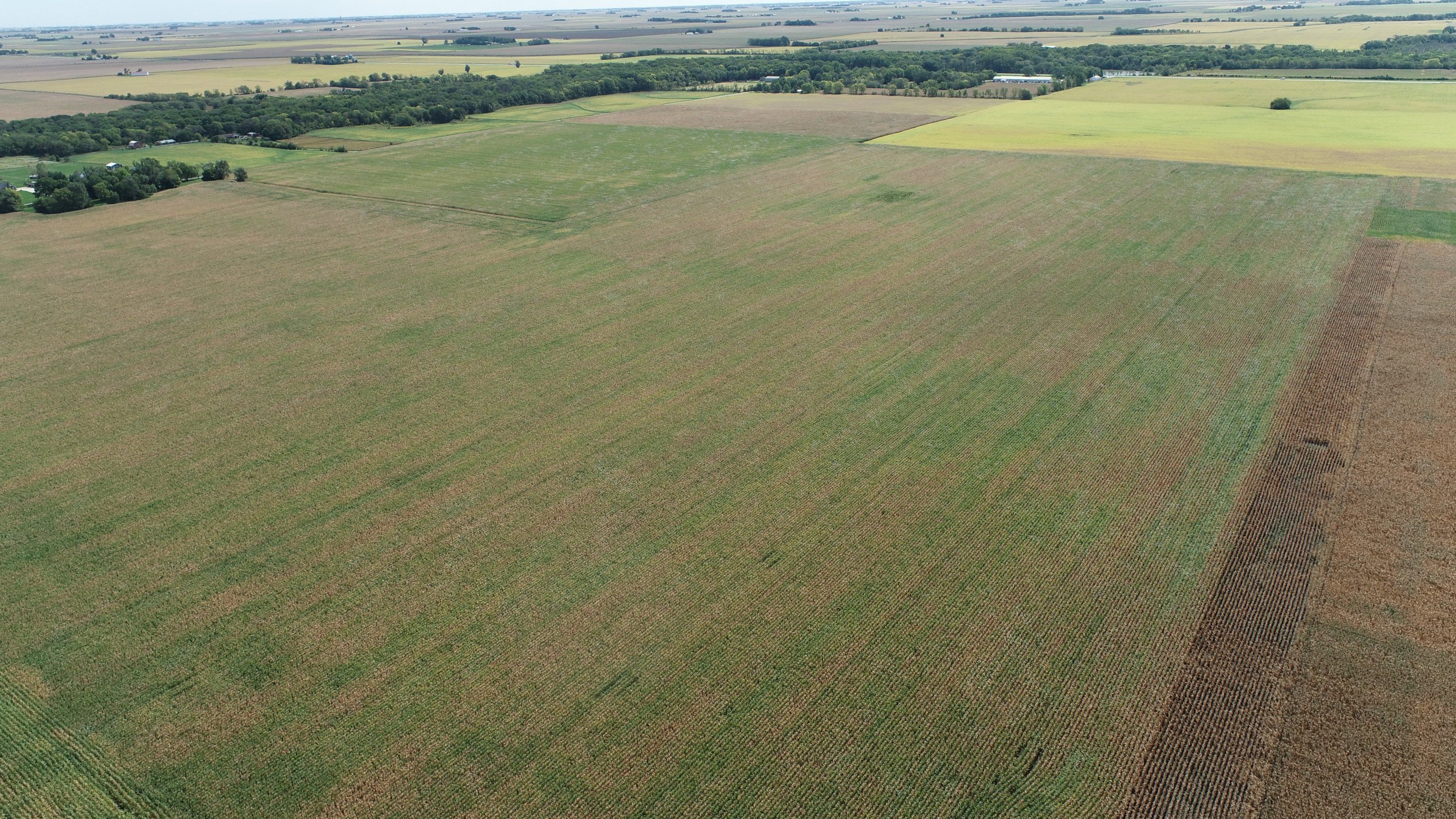 auctions-land-champaign-county-illinois-100-acres-listing-number-16443-DJI_0457-2.jpg