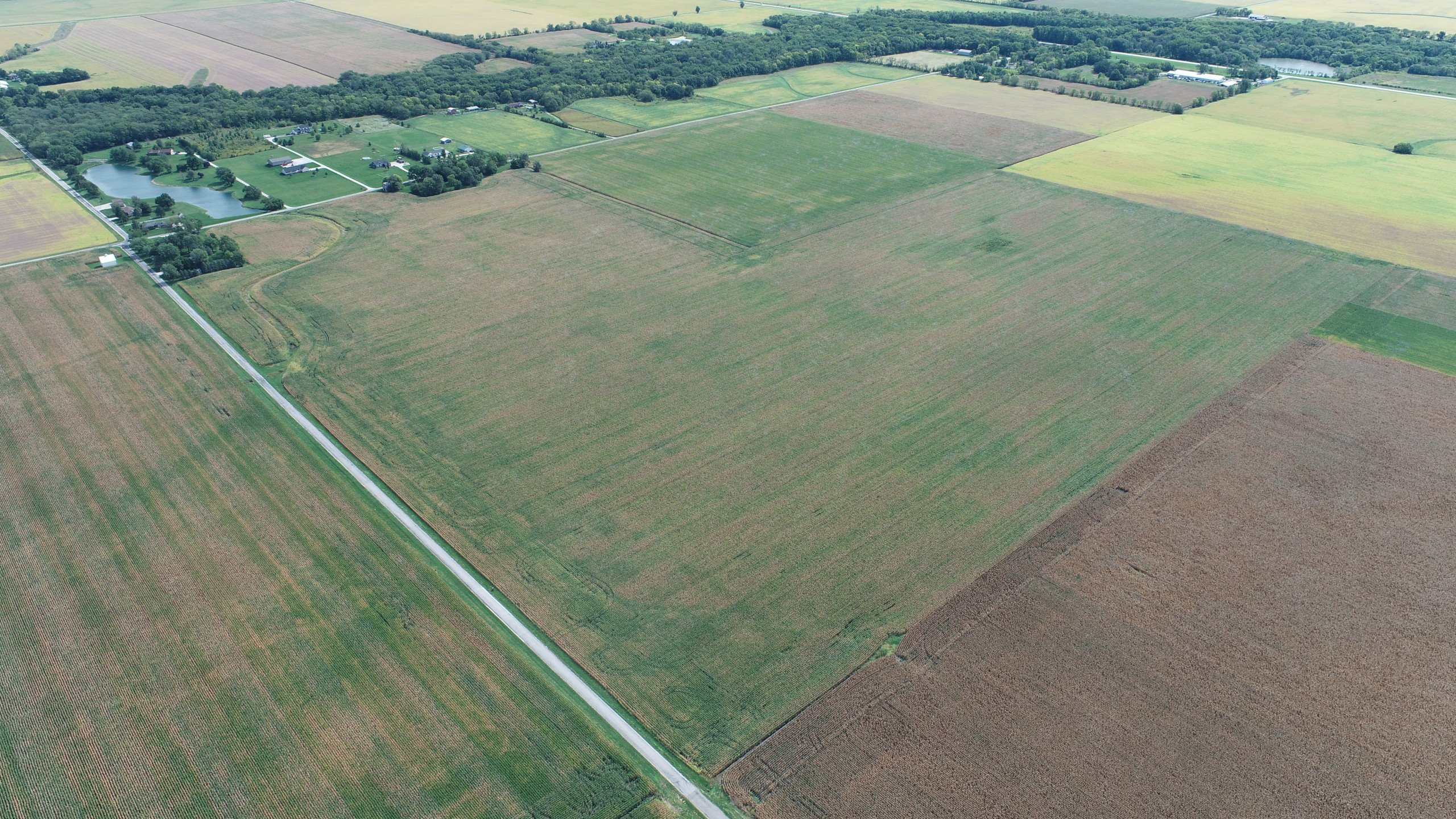 auctions-land-champaign-county-illinois-100-acres-listing-number-16443-DJI_0458-3.jpg