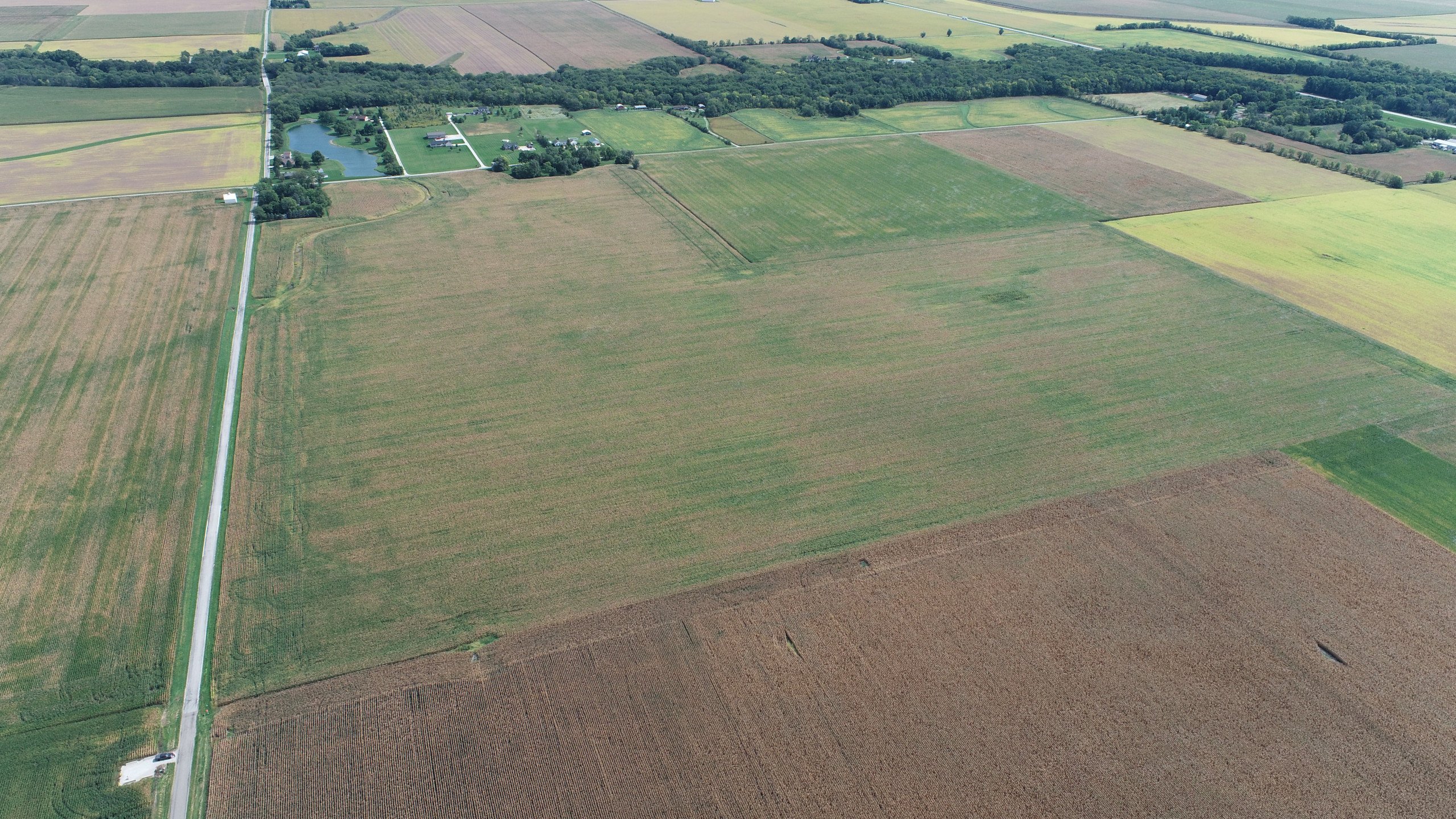 auctions-land-champaign-county-illinois-100-acres-listing-number-16443-DJI_0461-0.jpg