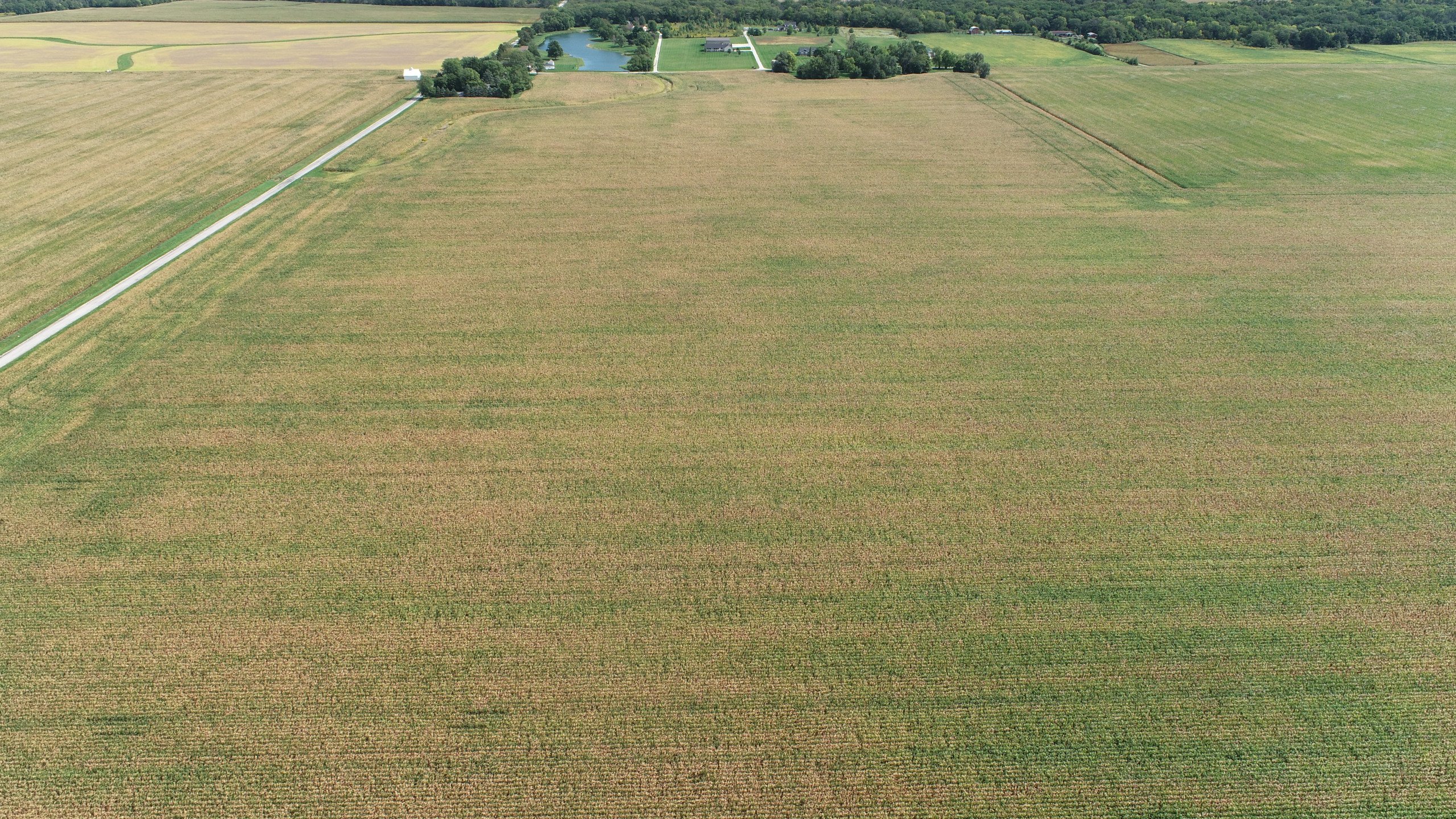 auctions-land-champaign-county-illinois-100-acres-listing-number-16443-DJI_0462-1.jpg