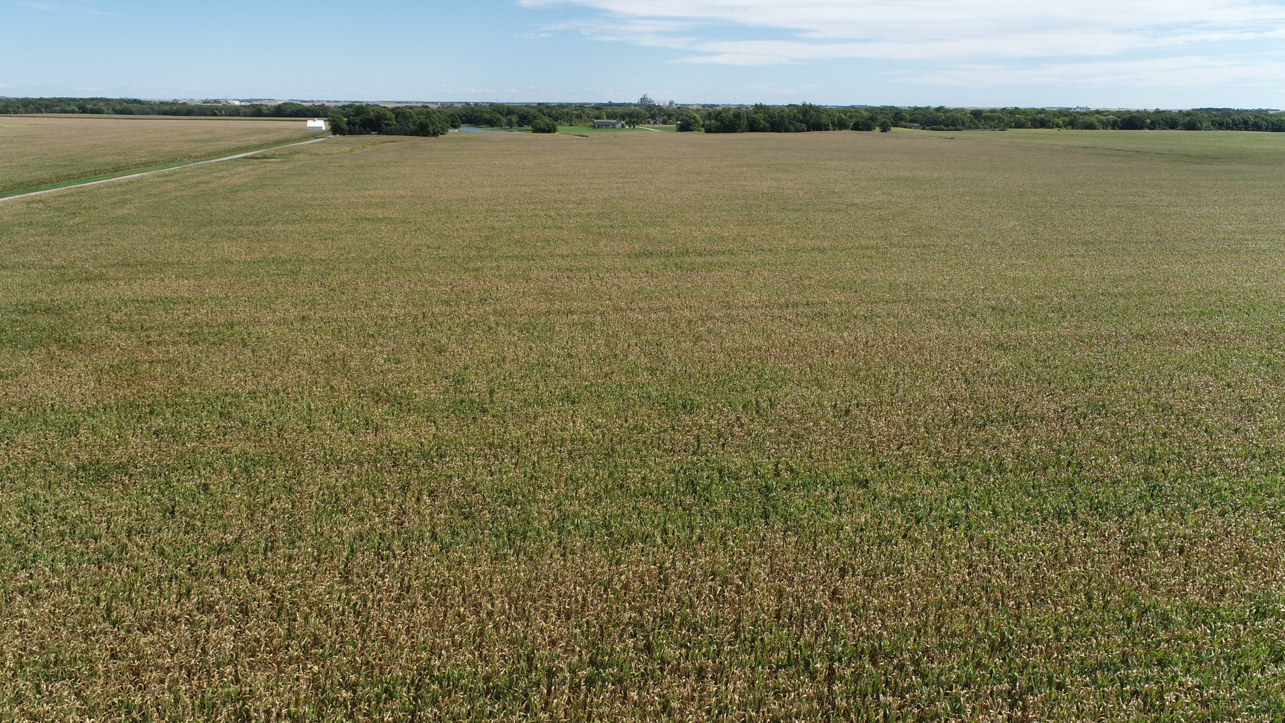 auctions-land-champaign-county-illinois-100-acres-listing-number-16443-DJI_0463-2.jpg