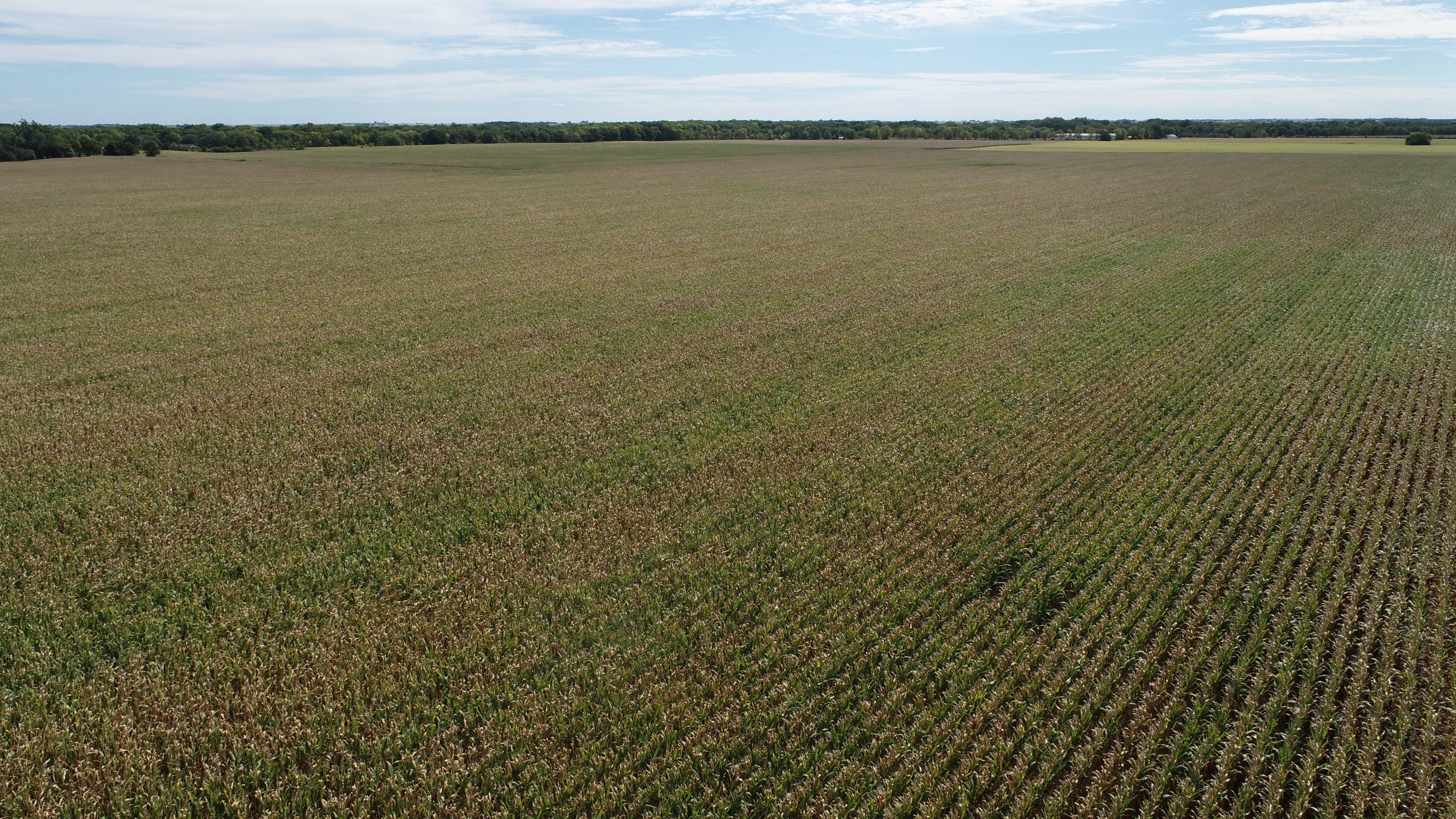 auctions-land-champaign-county-illinois-100-acres-listing-number-16443-DJI_0464-3.jpg