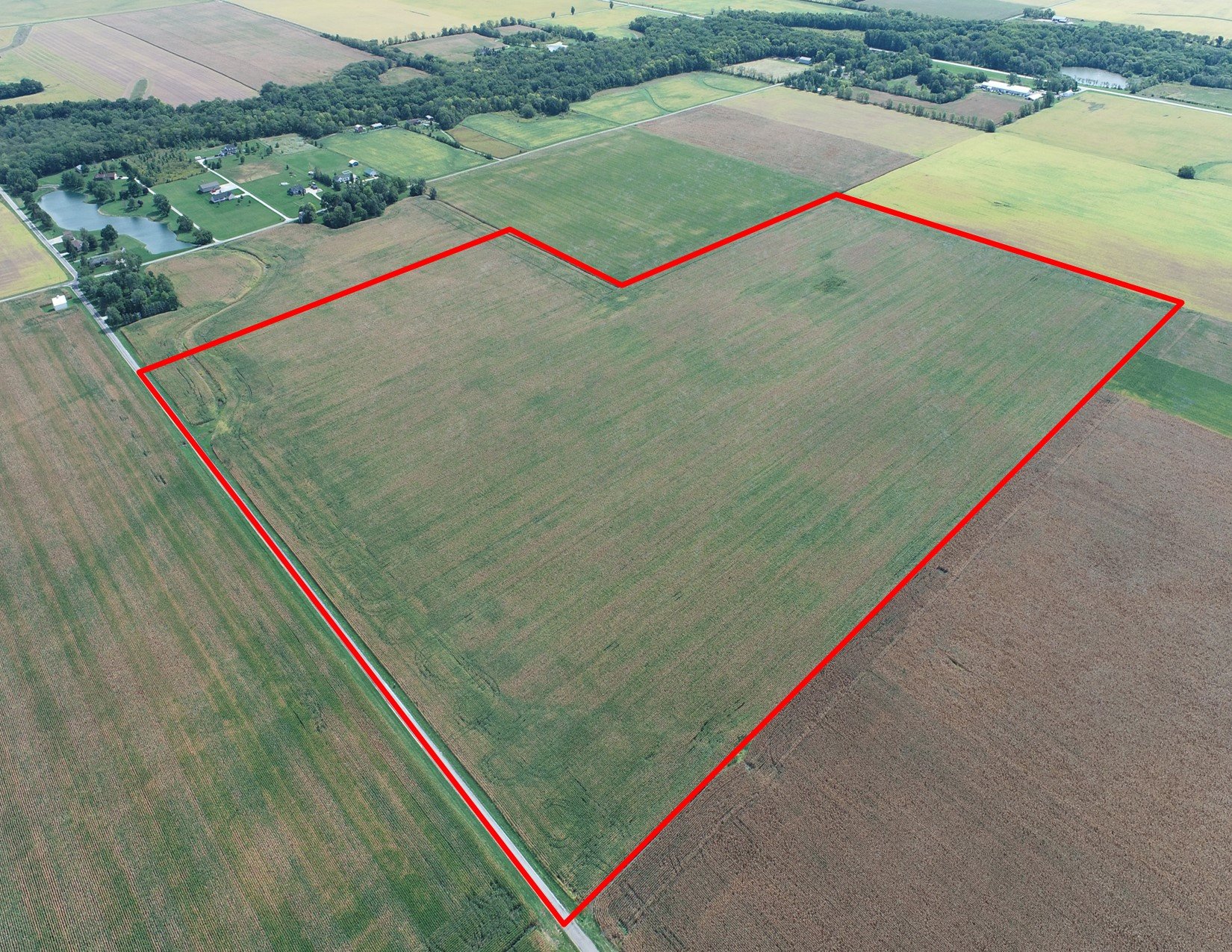 auctions-land-champaign-county-illinois-100-acres-listing-number-16443-Muralt Family Farms LLC 100 Acres, Drone Outlined JPEG-0.jpg