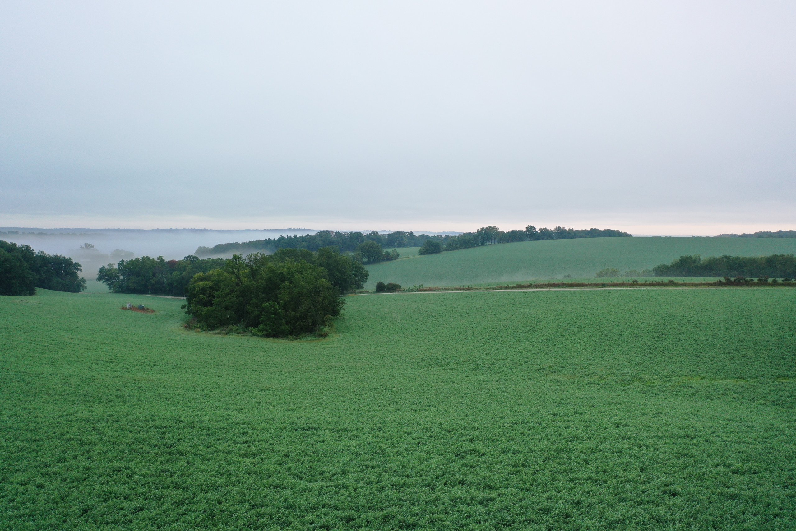 land-green-county-wisconsin-232-acres-listing-number-16445-DJI_0794-0.jpg