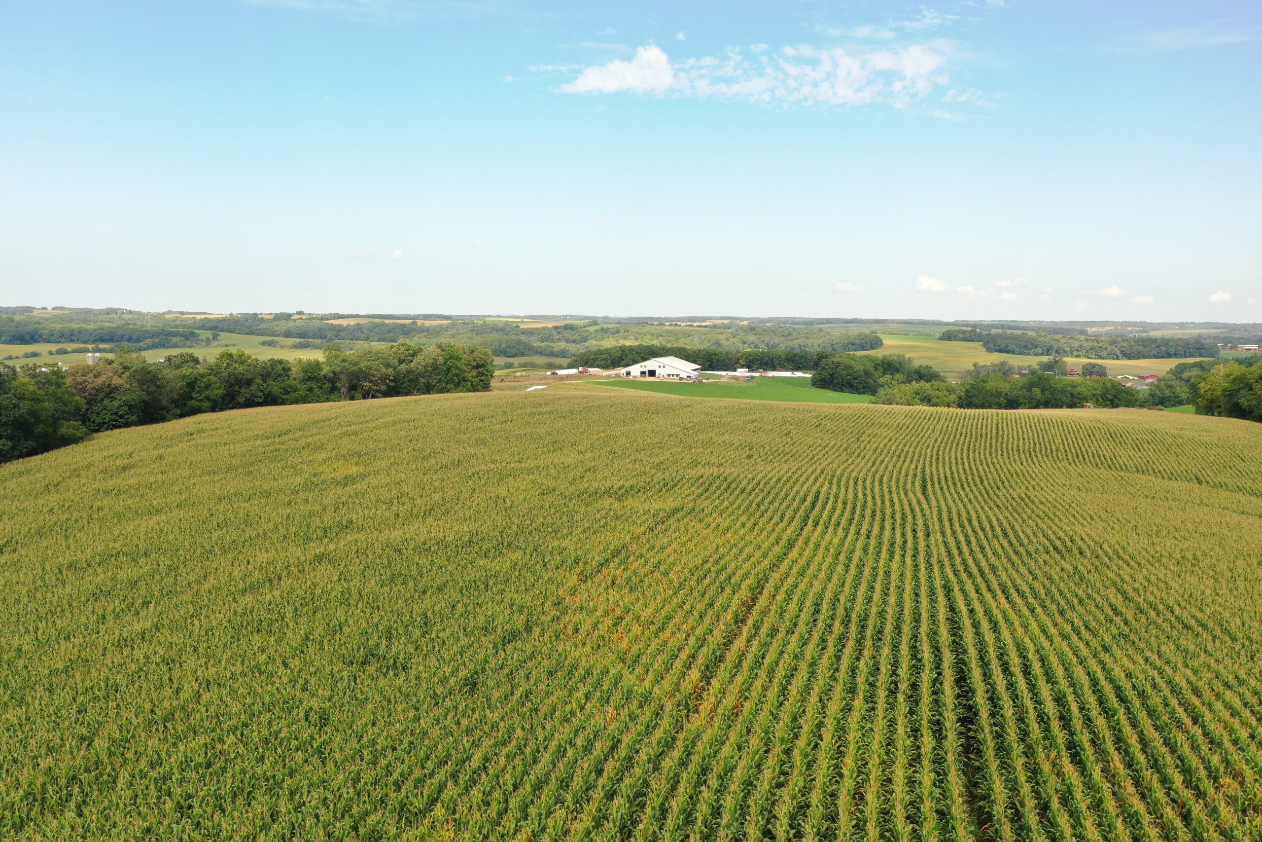 land-green-county-wisconsin-232-acres-listing-number-16445-DJI_0826-3.jpg