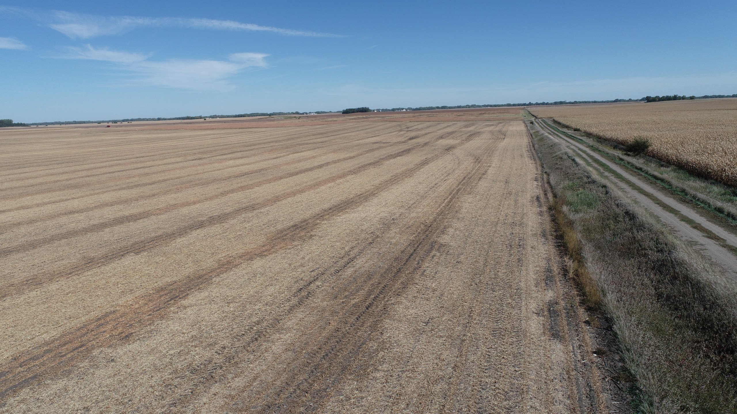 auctions-land-palo-alto-county-iowa-40-acres-listing-number-16454-DJI_0493-2.jpg