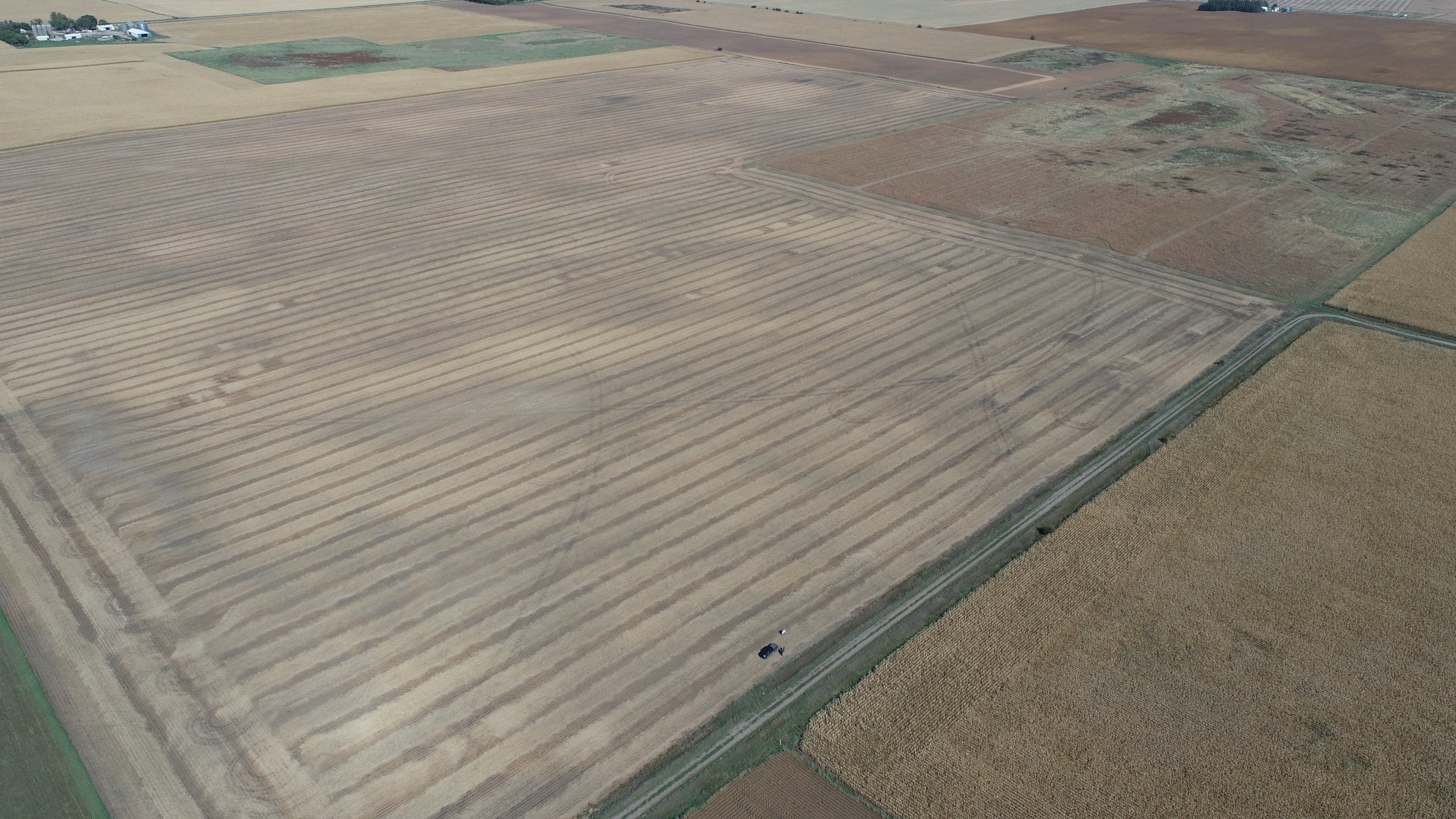 auctions-land-palo-alto-county-iowa-40-acres-listing-number-16454-DJI_0496-4.jpg