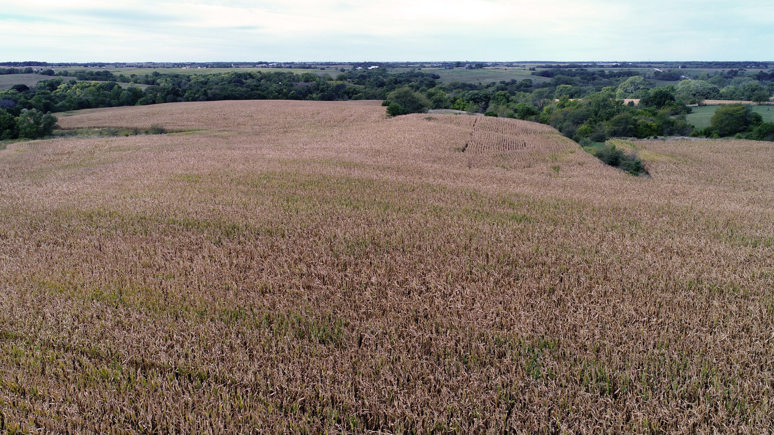 land-wayne-county-iowa-128-acres-listing-number-16457-DJI_0109-3.jpg