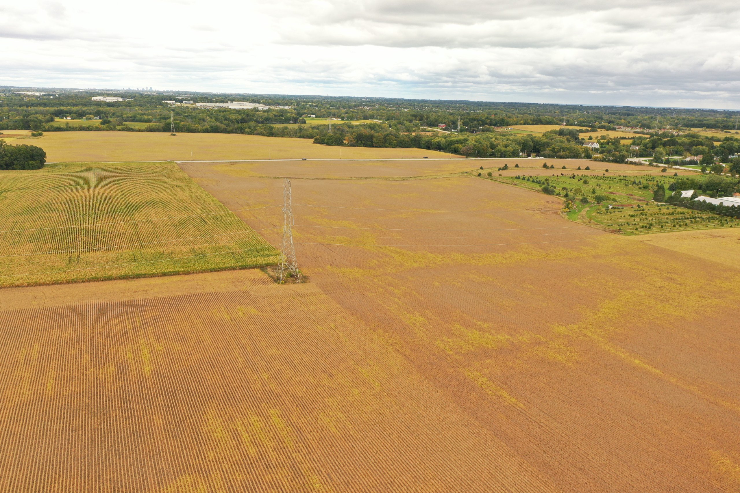 auctions-land-racine-county-wisconsin-20-acres-listing-number-16460-DJI_0866-0.jpg