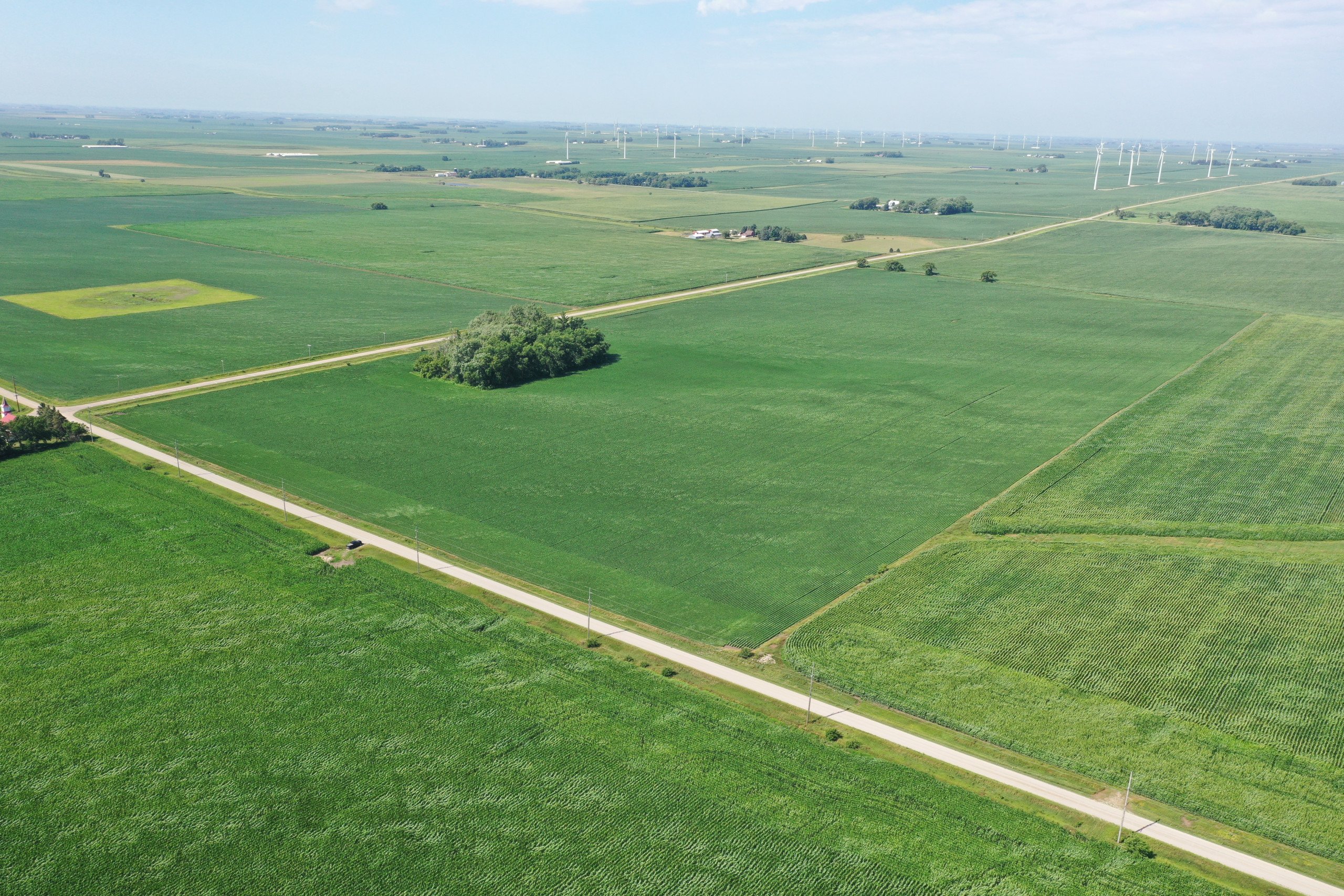 auctions-land-hancock-county-iowa-80-acres-listing-number-16466-DJI_0570-0.jpg