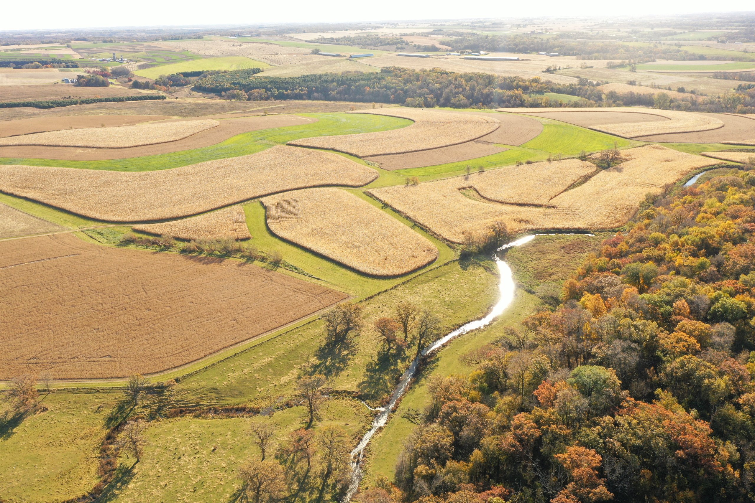 land-lafayette-county-wisconsin-436-acres-listing-number-16484-DJI_0039-1.jpg