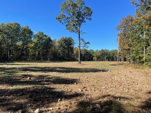 Food Plot