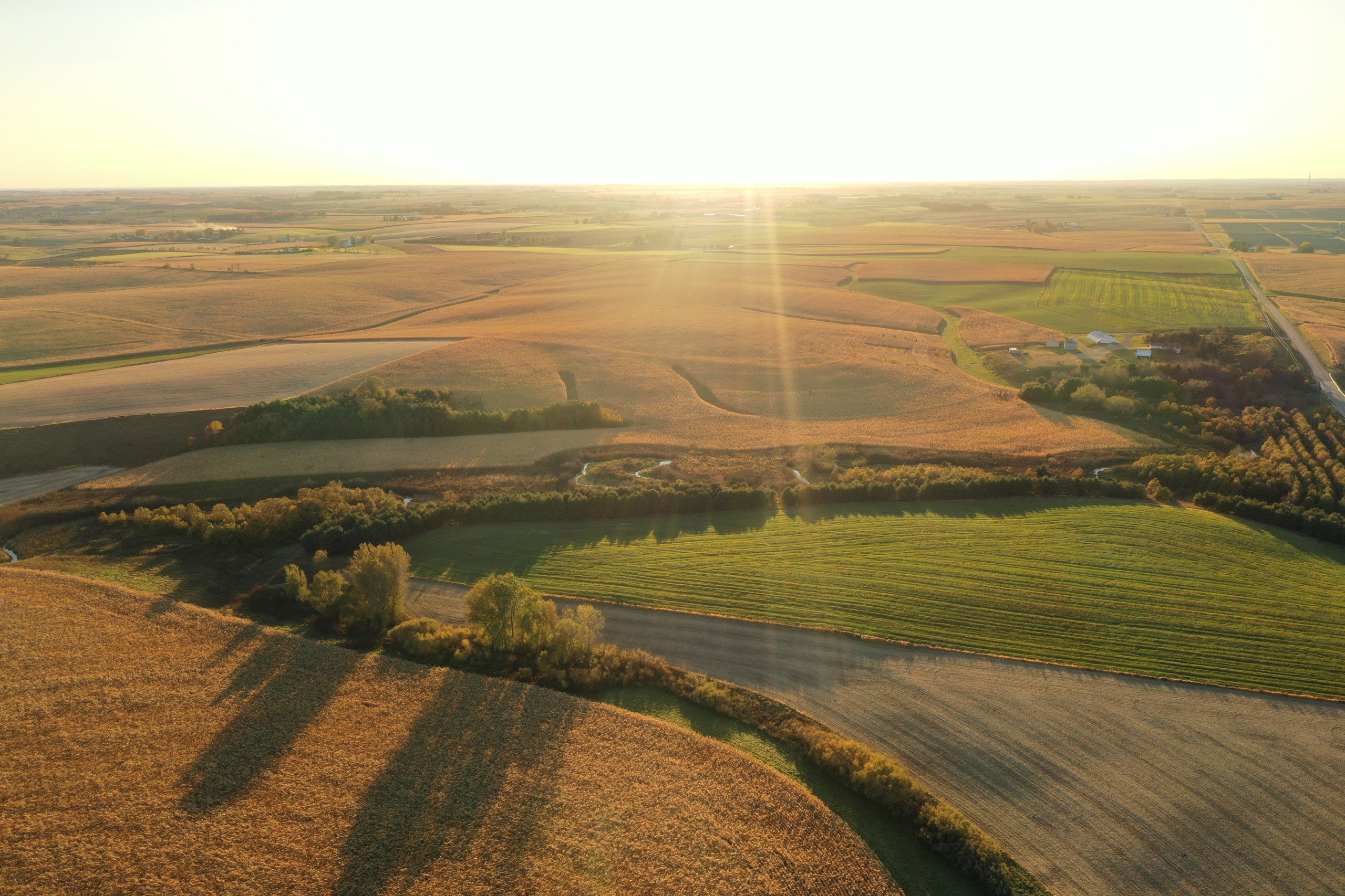 auctions-land-iowa-county-wisconsin-165-acres-listing-number-16488-DJI_0058-0.jpg