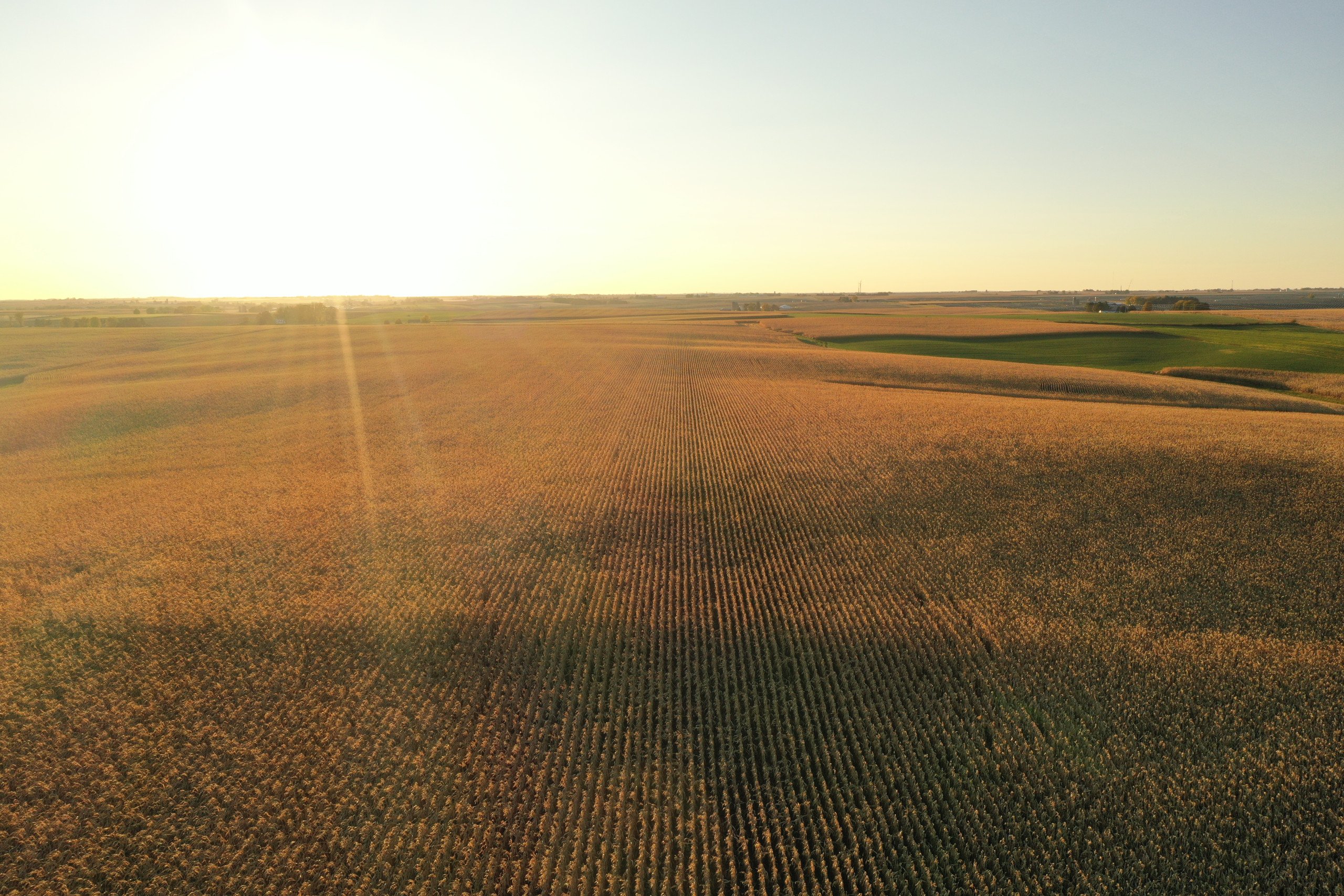 auctions-land-iowa-county-wisconsin-165-acres-listing-number-16488-DJI_0064-0.jpg