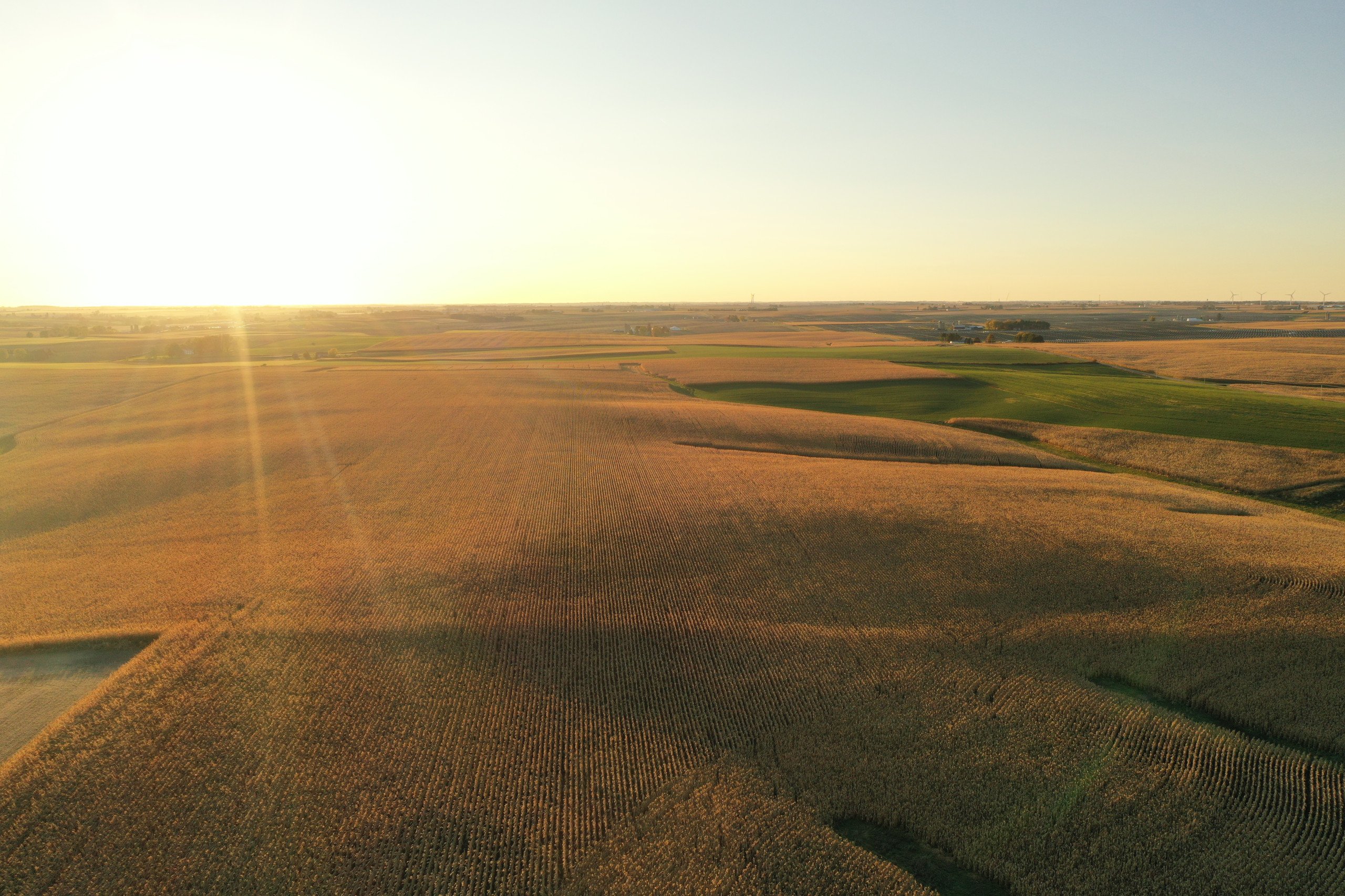 auctions-land-iowa-county-wisconsin-165-acres-listing-number-16488-DJI_0074-1.jpg