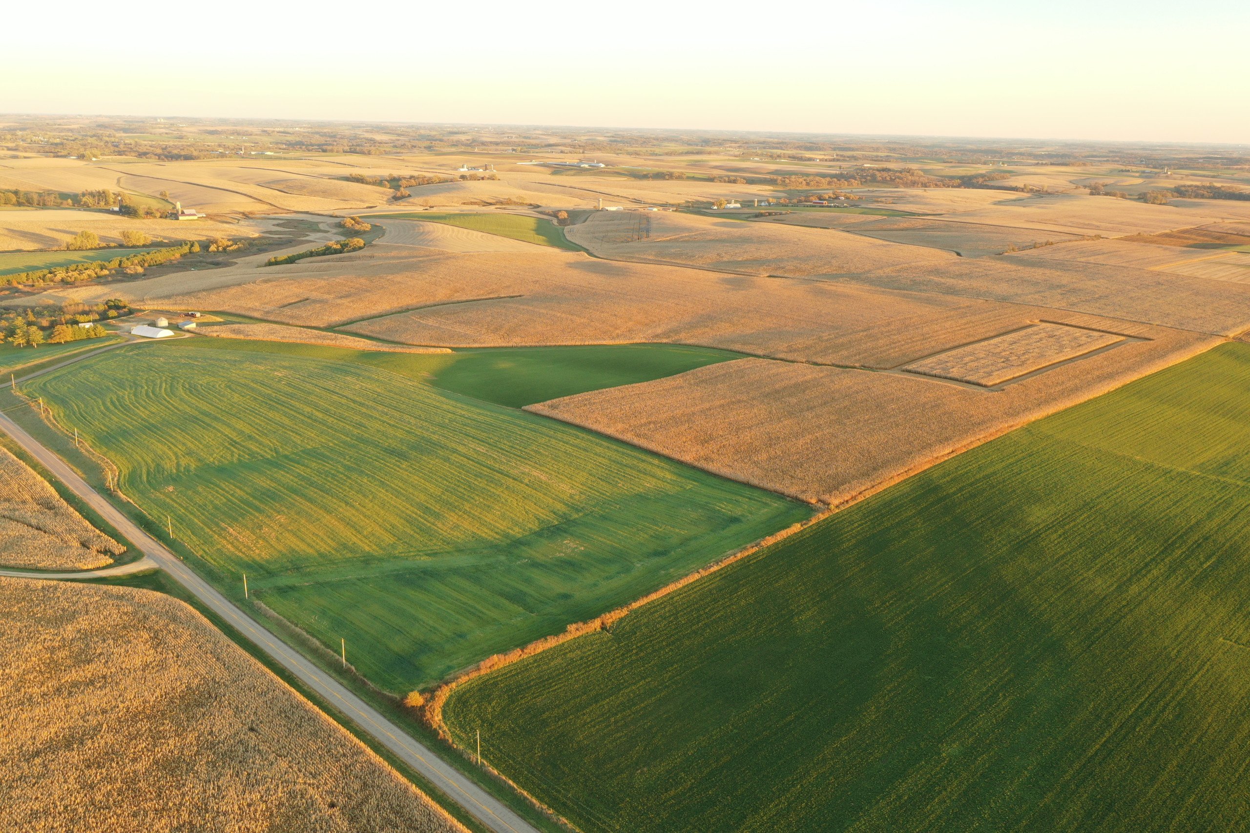 auctions-land-iowa-county-wisconsin-165-acres-listing-number-16488-DJI_0088-0.jpg