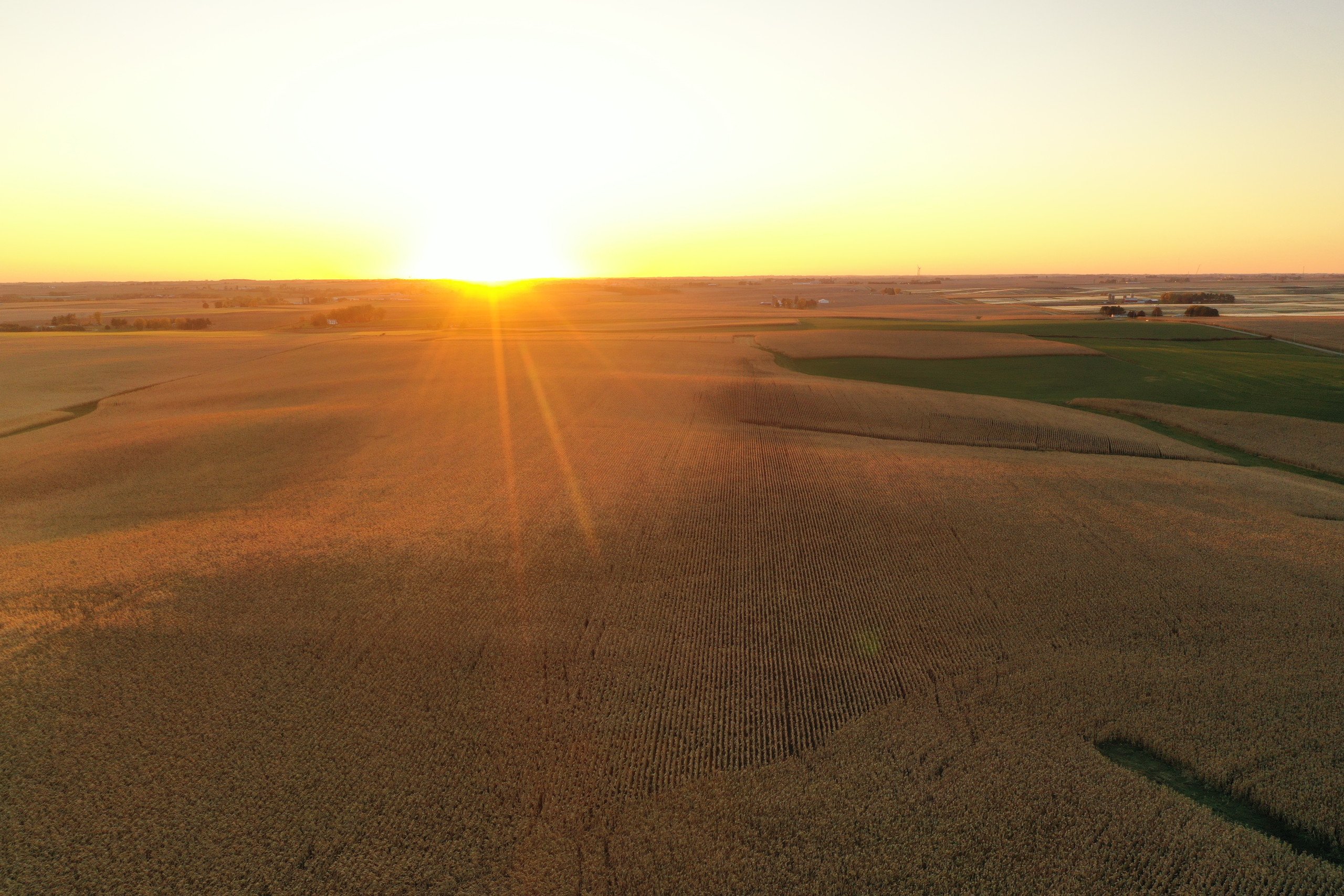 auctions-land-iowa-county-wisconsin-165-acres-listing-number-16488-DJI_0117-3.jpg