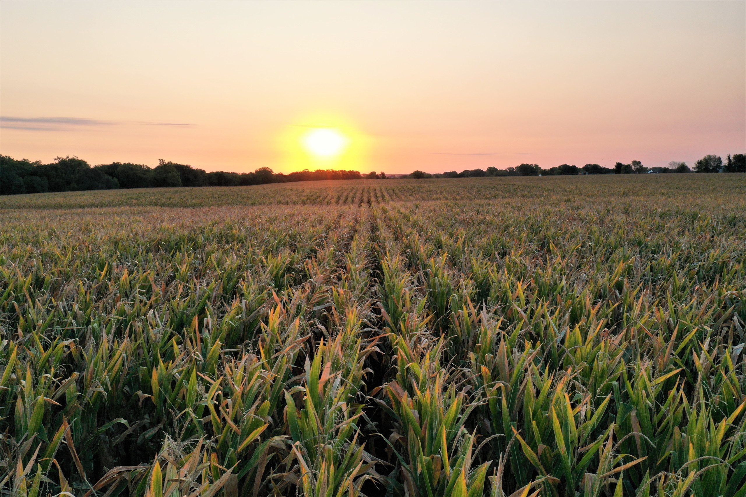 development-land-warren-county-iowa-29-acres-listing-number-16489-Ground 3-6.jpg