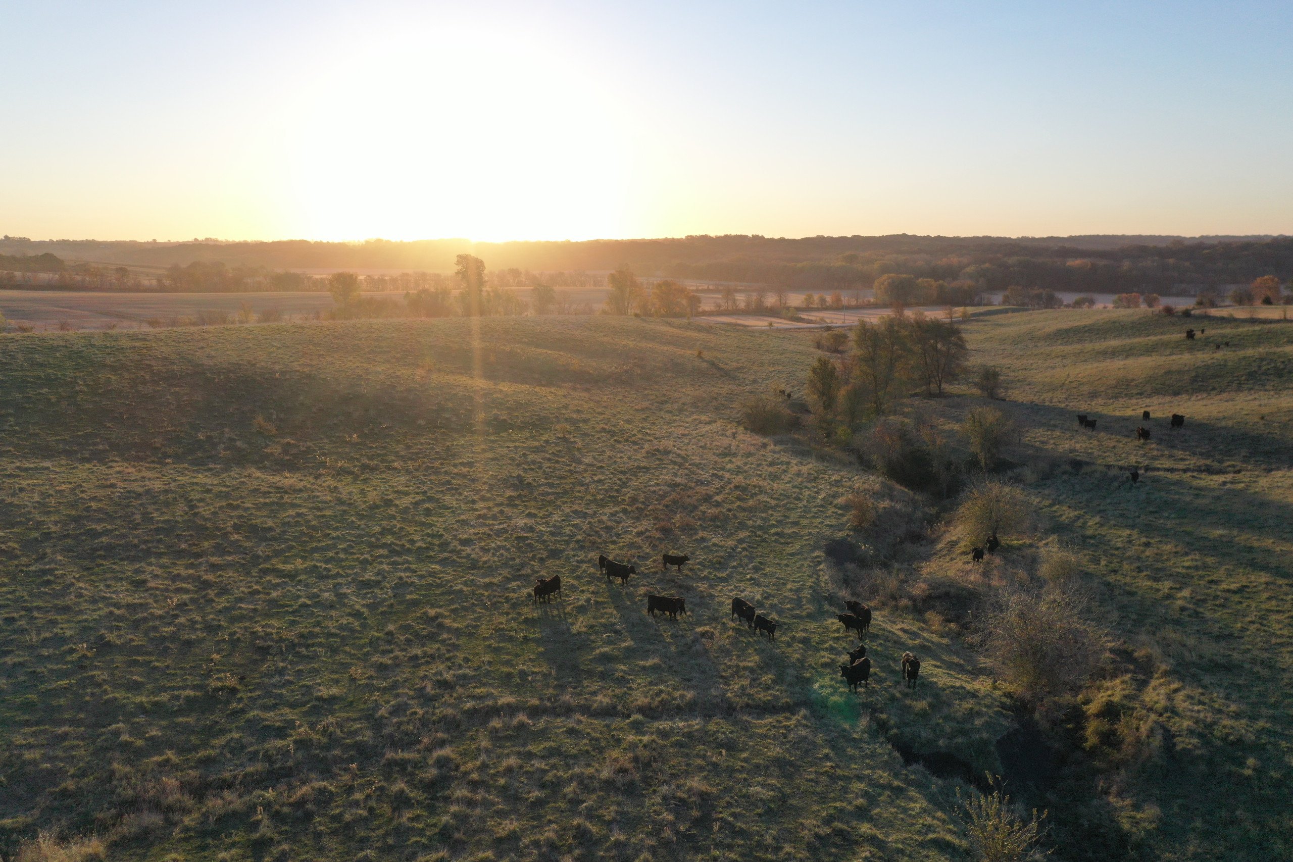 Clarke County, Iowa Pasture For Sale