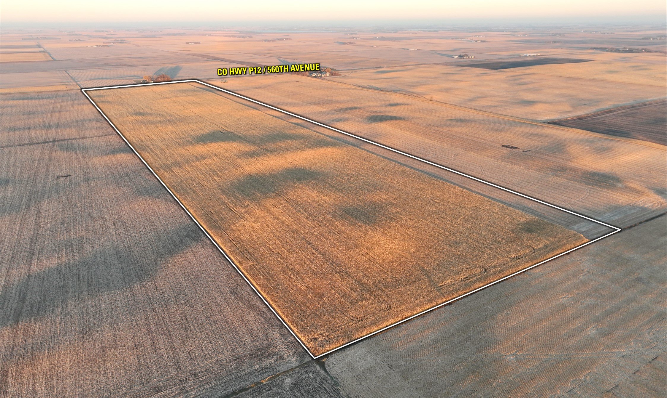 Emmet County, Iowa Farmland For Sale