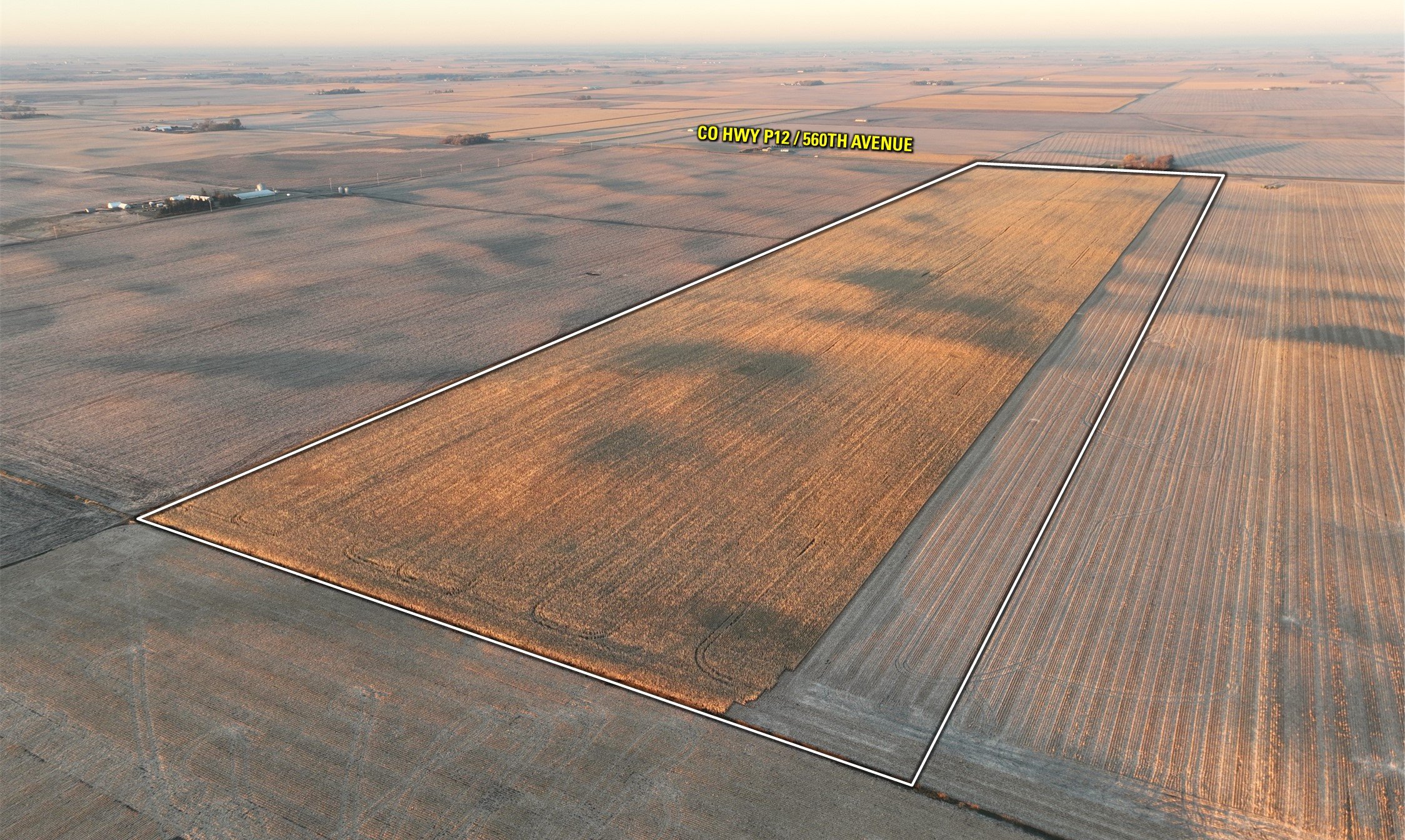 Emmet County, Iowa Farmland For Sale