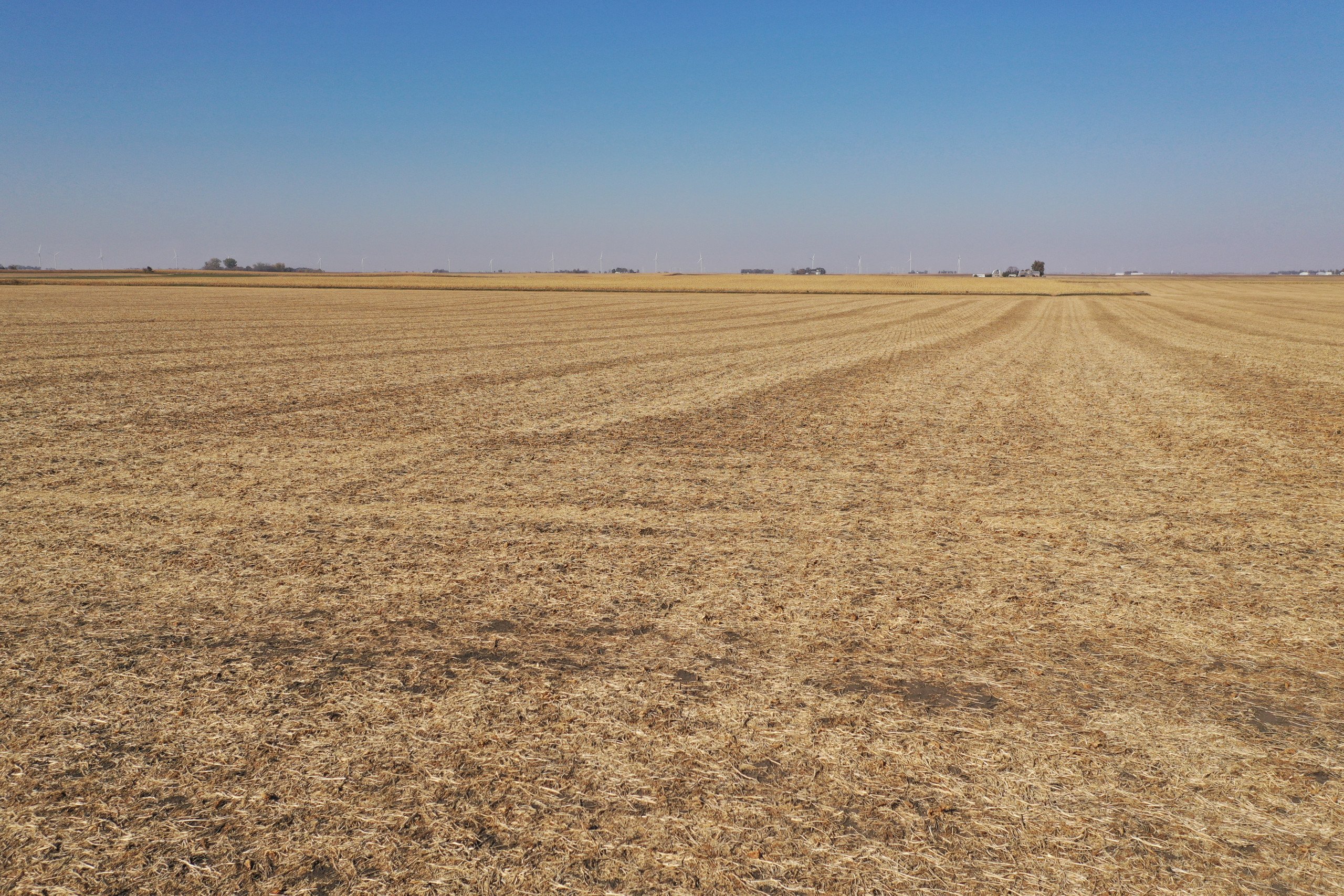 Greene County, Iowa Farmland For Sale