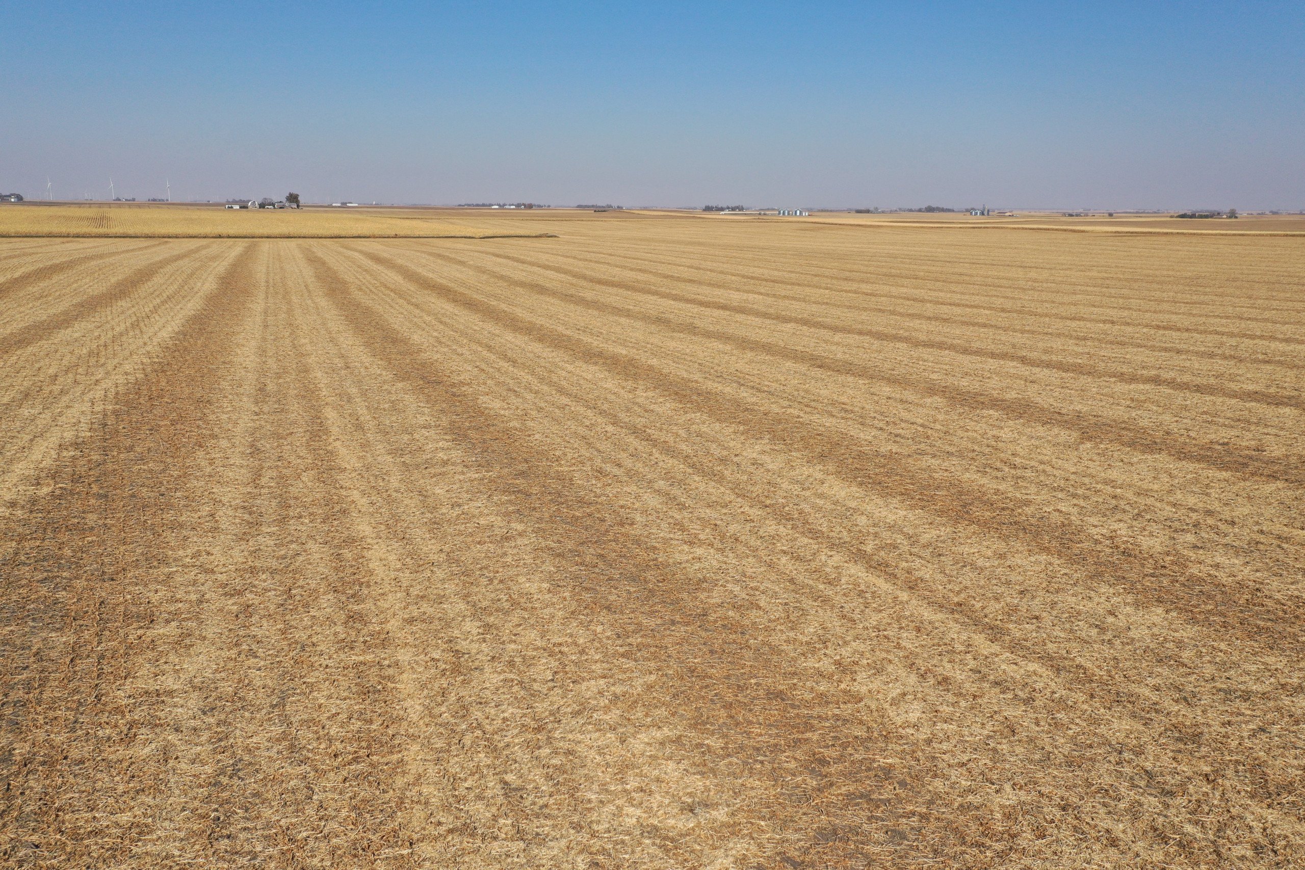 Greene County, Iowa Farmland For Sale