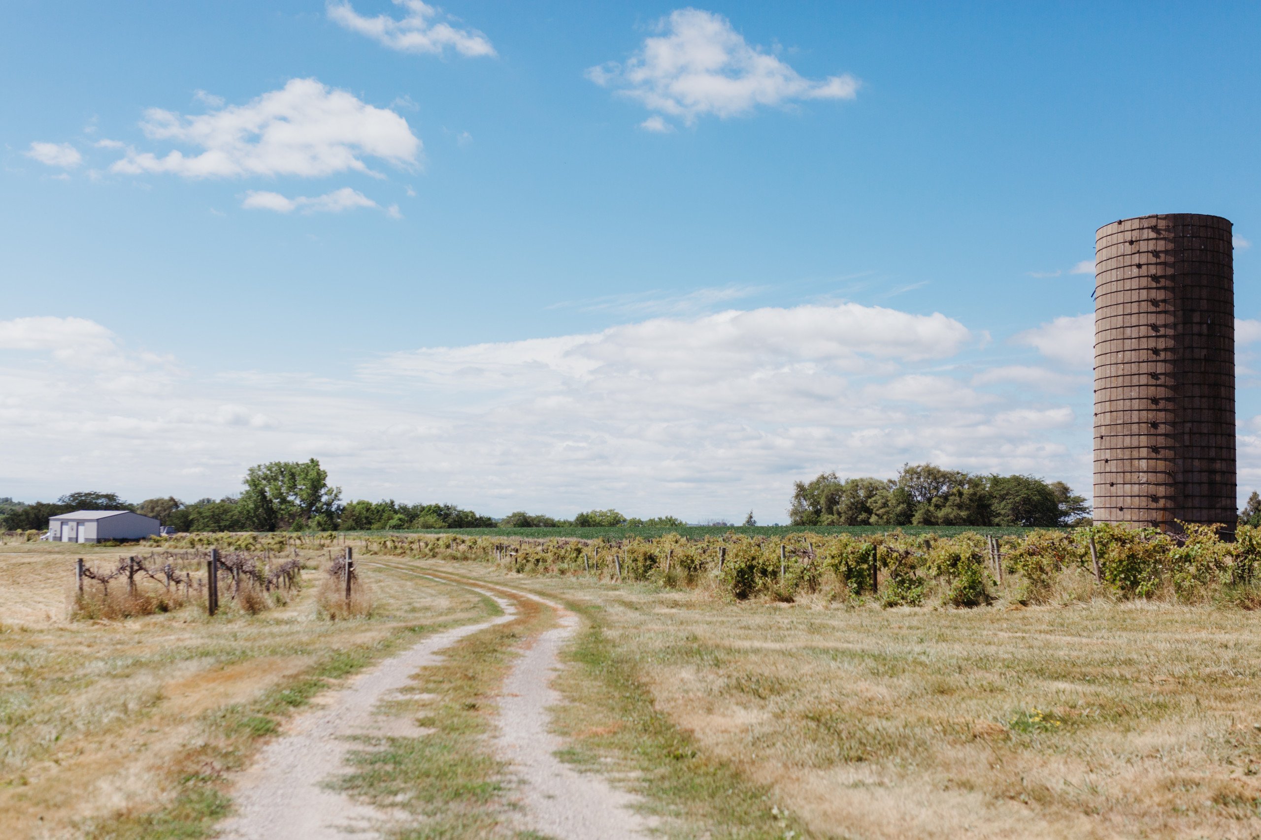 residential-land-warren-county-iowa-28-acres-listing-number-16511-AC7A2896-0.jpg