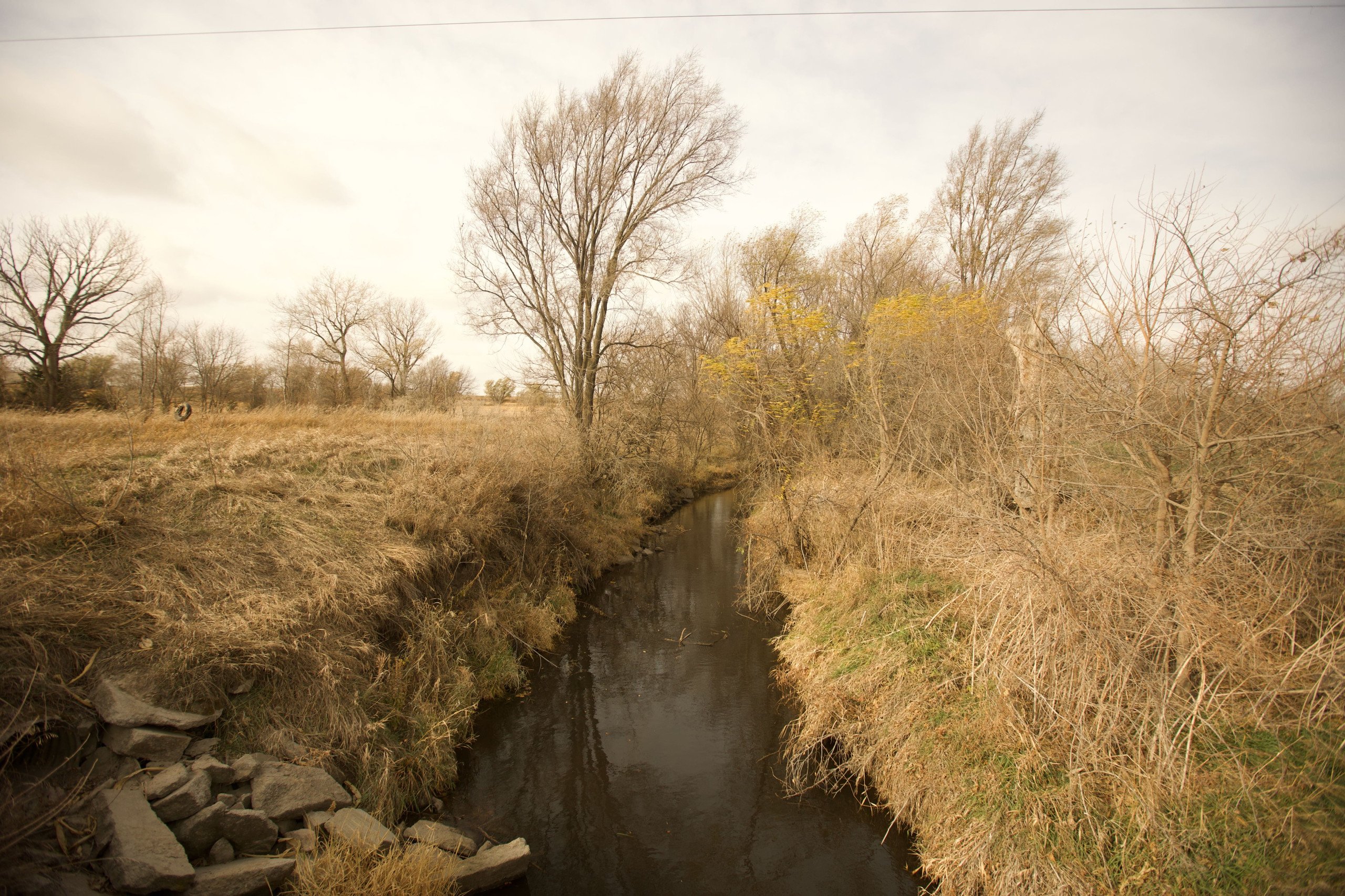 land-lancaster-county-nebraska-178-acres-listing-number-16519-IMG_8093-13.jpg