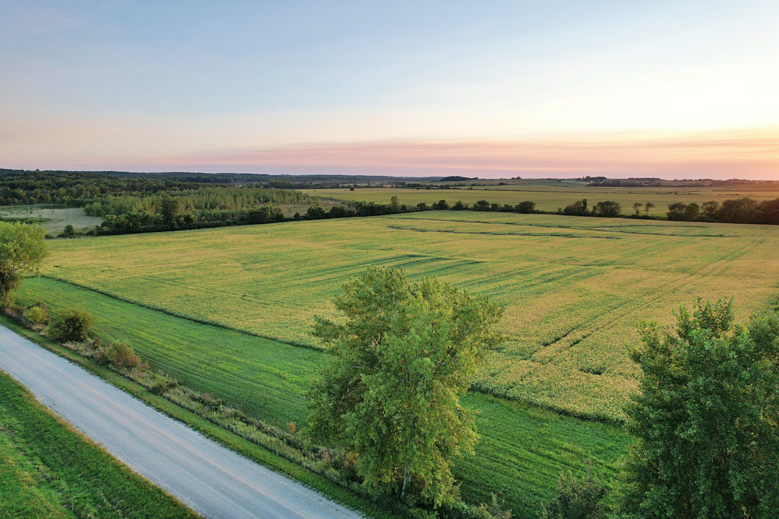 land-warren-county-iowa-20-acres-listing-number-16528-DroneDJI_0141 1-1.jpg