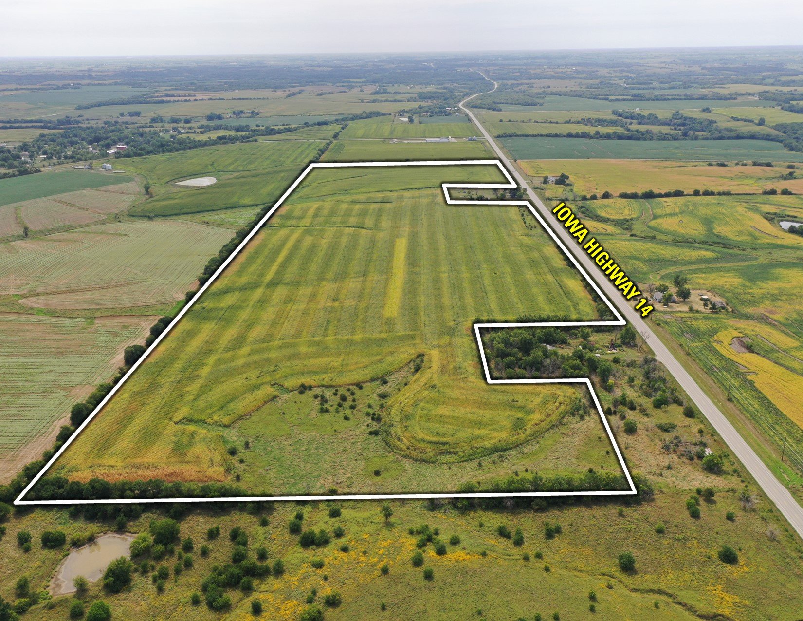 Wayne County, Iowa Farmland for Sale