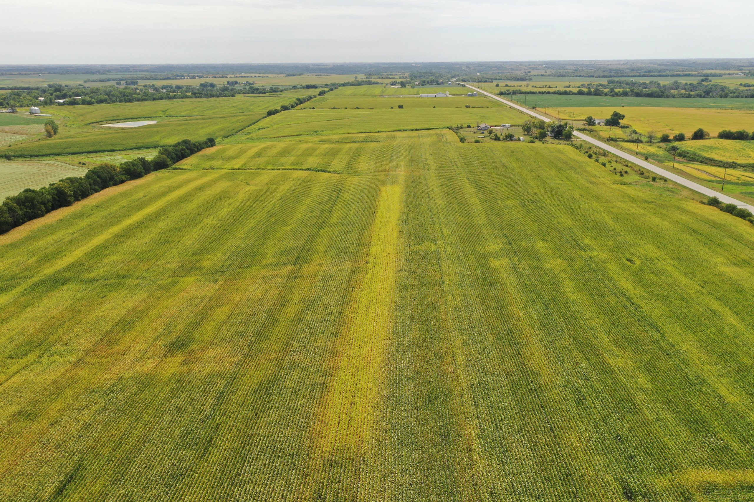 Wayne County, Iowa Farmland for Sale