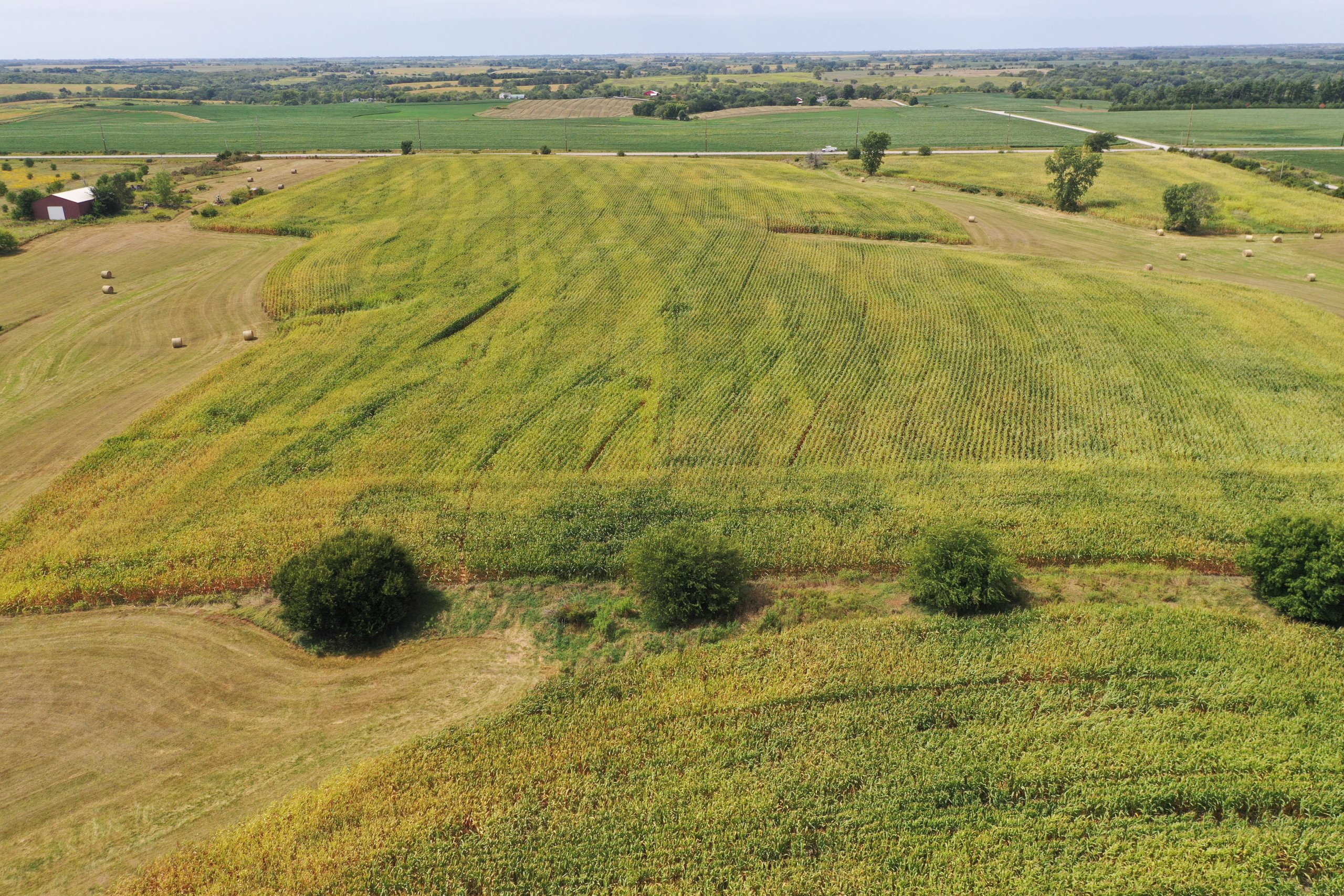 Wayne County, Iowa Farmland For Sale