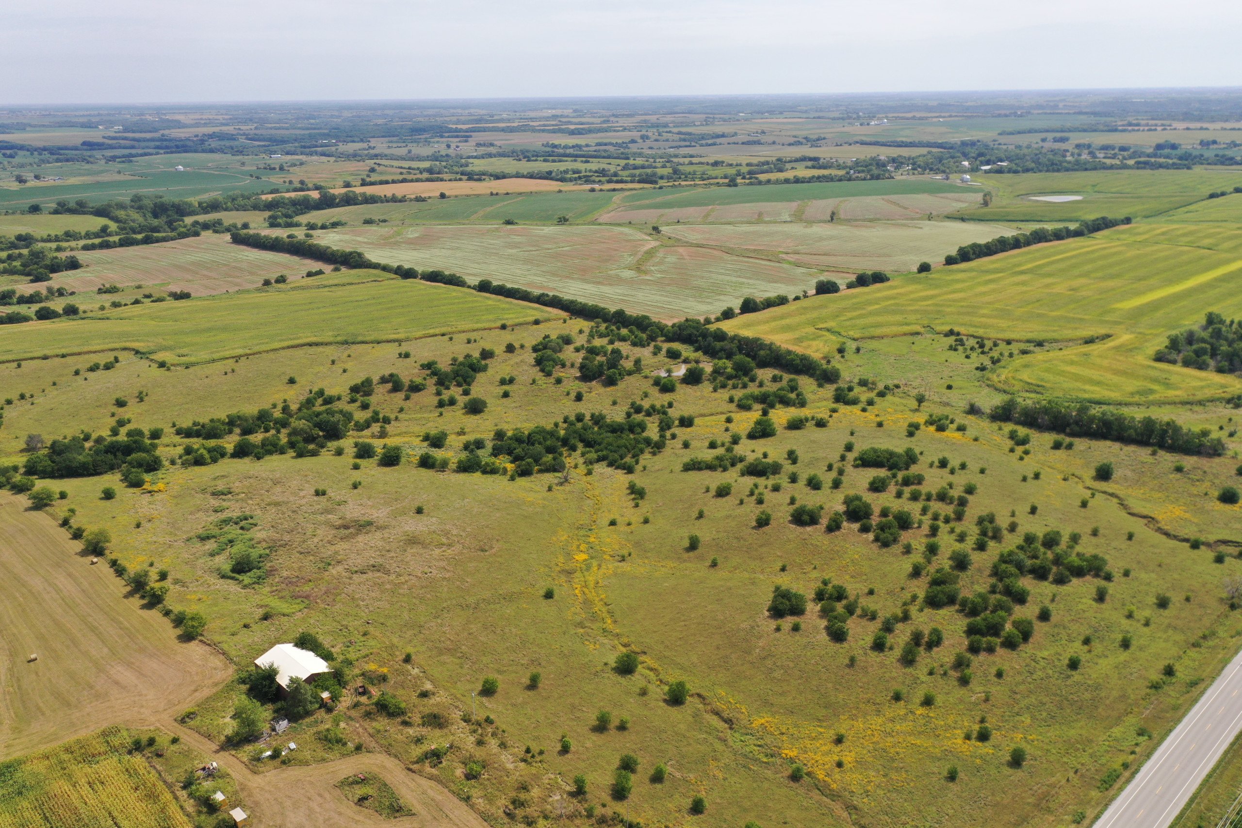 Wayne County, Iowa Farmland For Sale